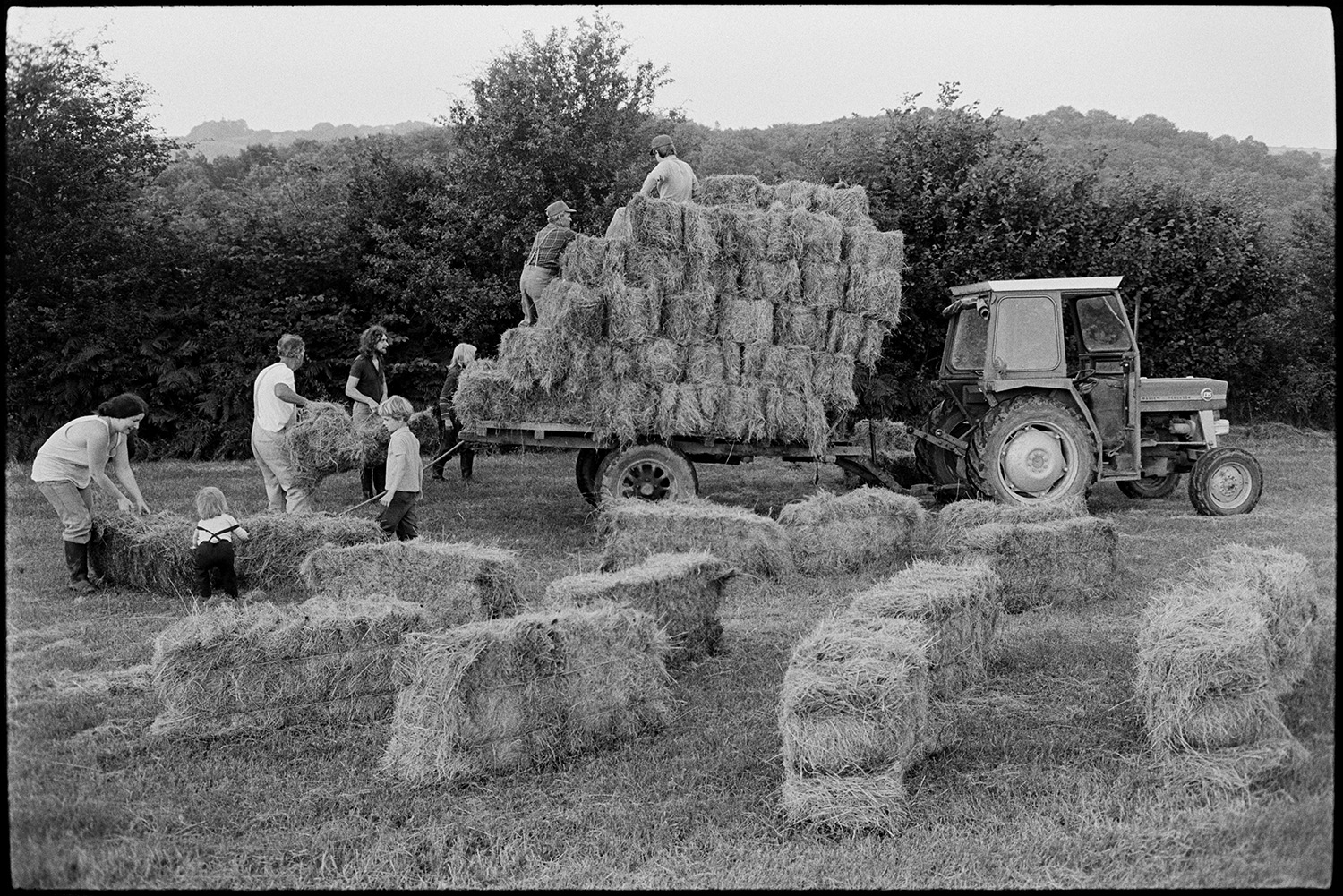 Farmers loading bales of straw on to trailer. 
[Men, women and children helping to load hay bales onto a trailer in a field at Millhams, Dolton.]