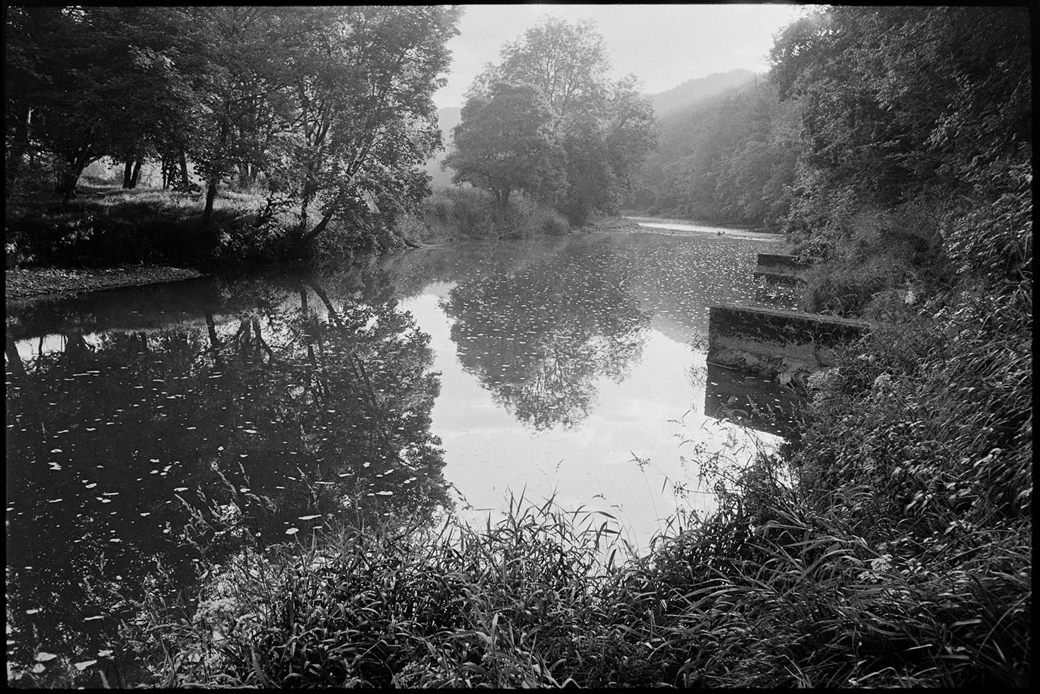River misty early reflections. 
[The River Torridge running past tree and woodland at Halsdon, Dolton. The trees are reflected in the river.]