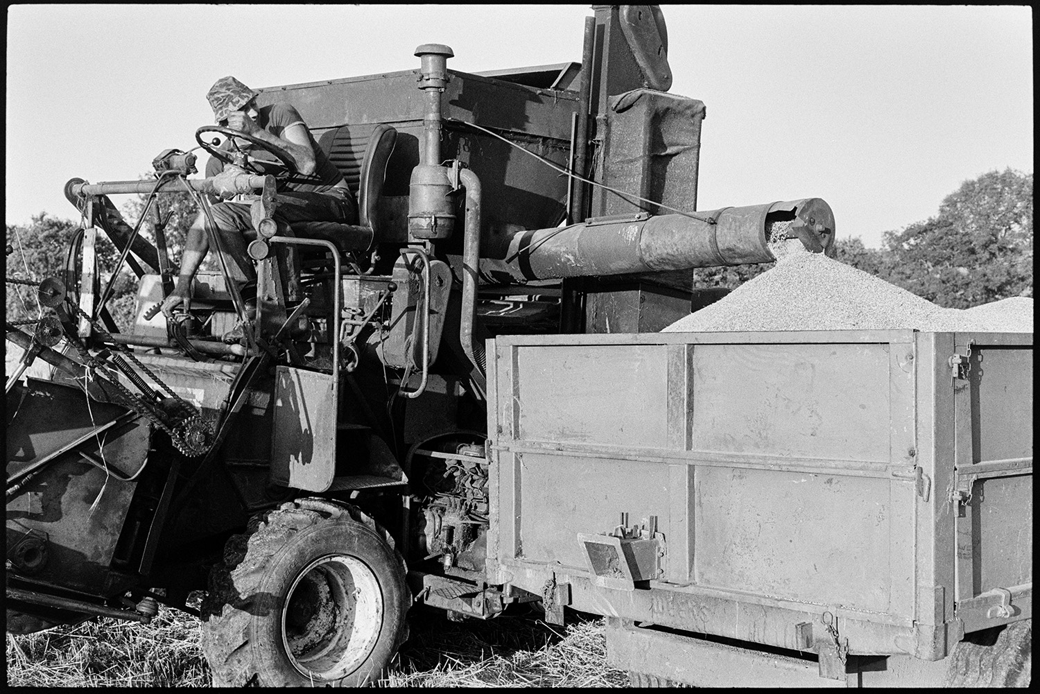 Combine harvester, farmers loading straw bales onto trailer. 
[A man working a combine harvester in a field at Hollocombe. He is loading grain from the combine harvester into a trailer parked next to him.]