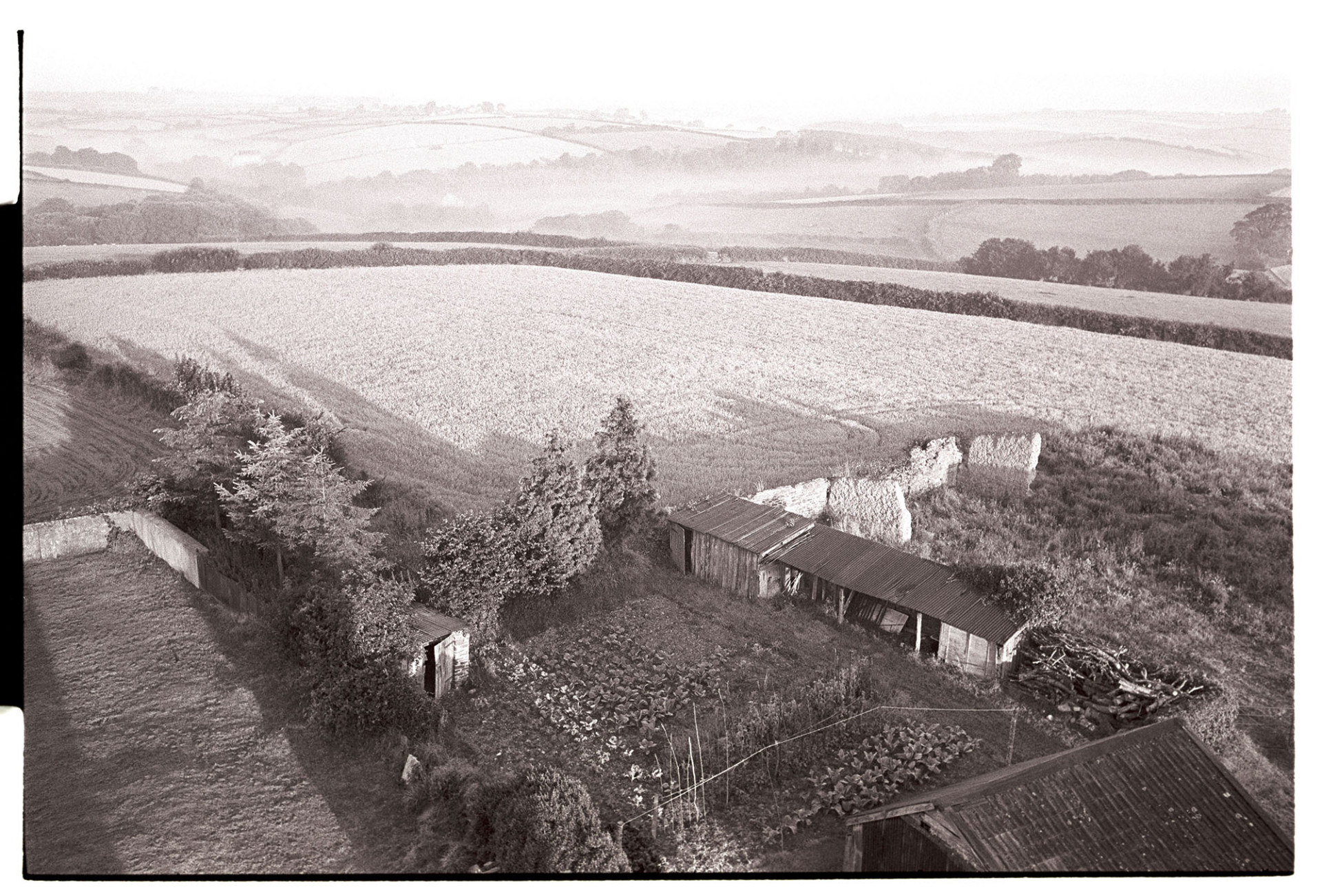 View from top of church tower, early morning, corn fields and vegetable gardens, sheds, huts. 
[A view from Ashreigney Church tower in the early morning. Misty fields, a crop of corn, hedgerows, vegetable gardens and sheds are all visible.]