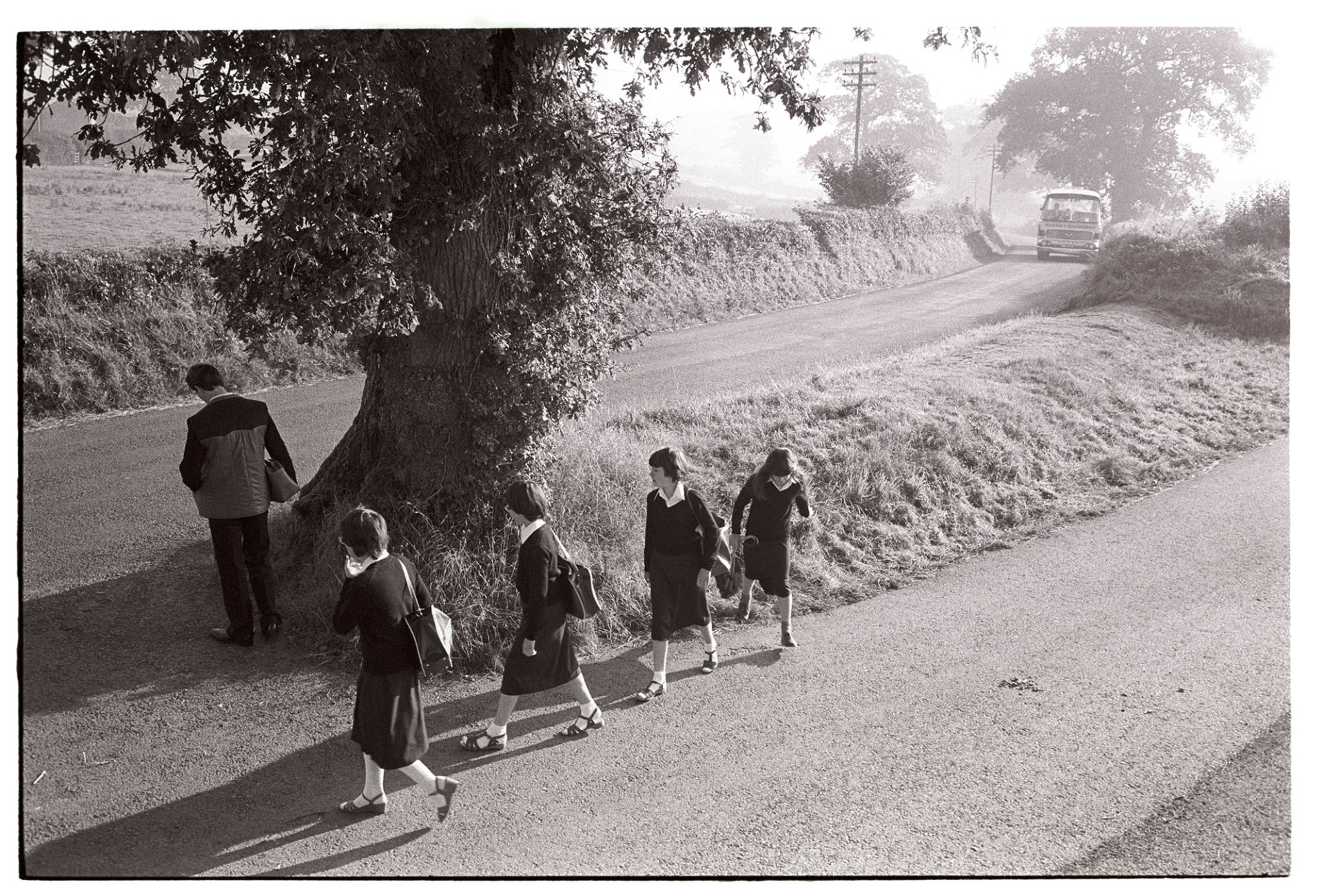 Children waiting for school bus, under oak tree, morning. Wearing uniform, bus in road. 
[Schoolchildren waiting for their school bus by an oak tree at Lovistone, Merton. The bus is approaching and they are all wearing school uniforms.]