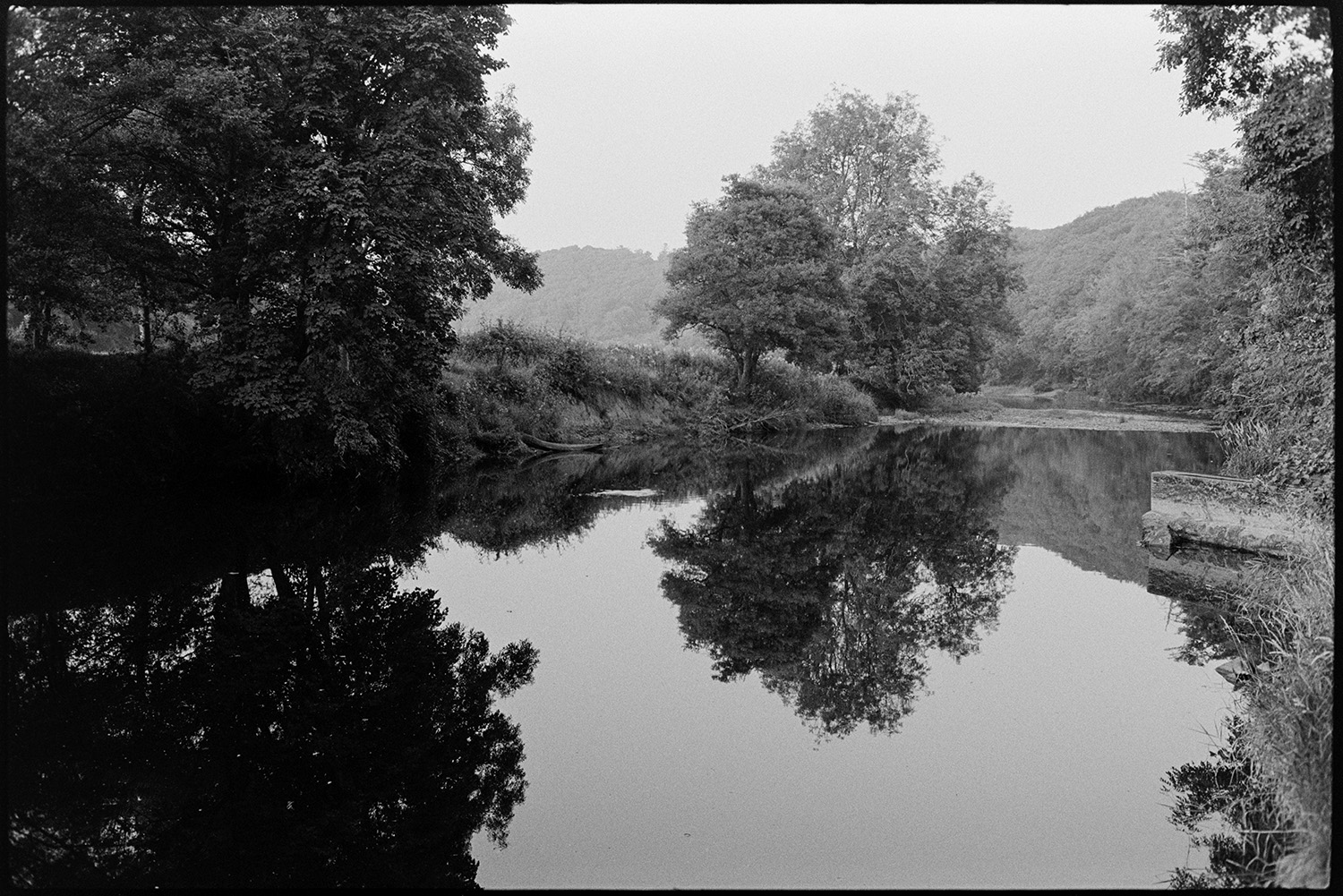 Still river, reflected trees. 
[The River Torridge running past woodland at Halsdon, Dolton. Trees on the riverbank are reflected in the water.]