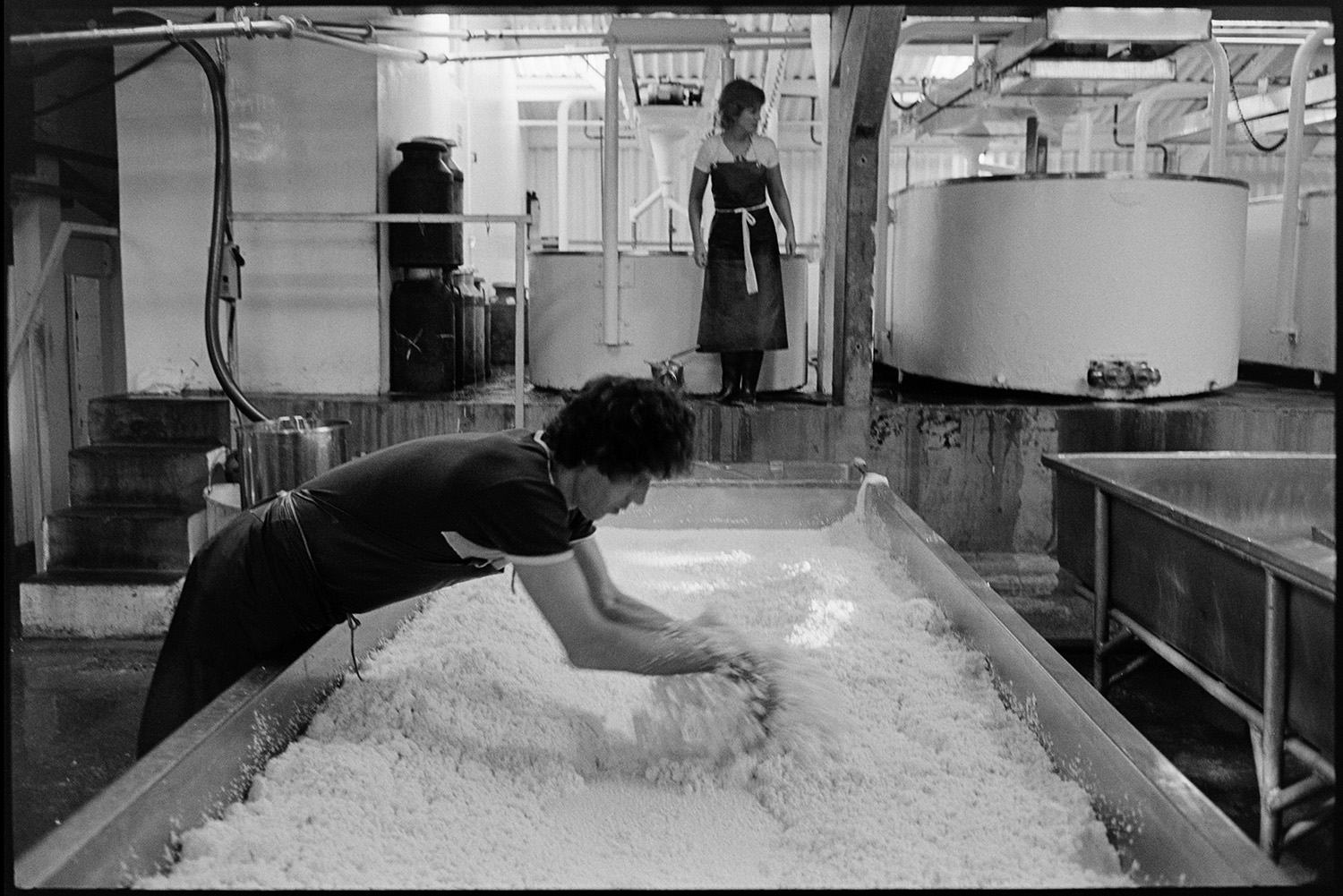 Men and women working in cheese factory, mixing vats, emptying churn into vat. 
[A man stirring a vat of cheese with his arms in the cheese factory at Hawkridge Farm, Chawleigh. A woman is stood in the background by other vats.]