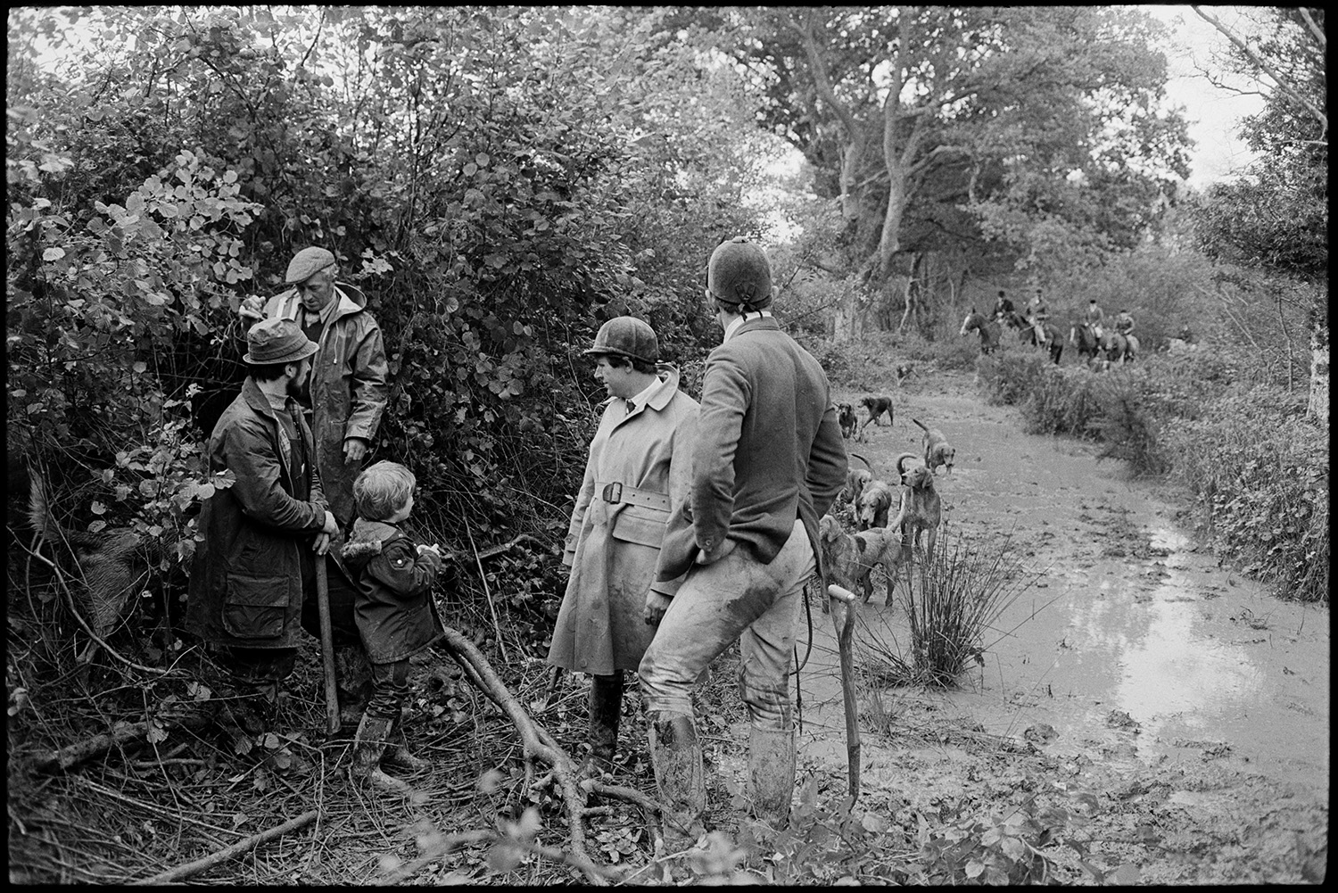 Huntsmen after digging out fox, terriers and diggers walking off in thick mud. 
[Two huntsmen, men and a child stood by a hedgebank on the edge of a wood at Cudworthy, Dolton, after digging out a fox. Riders and hounds can be seen in the background , walking along a muddy track.]