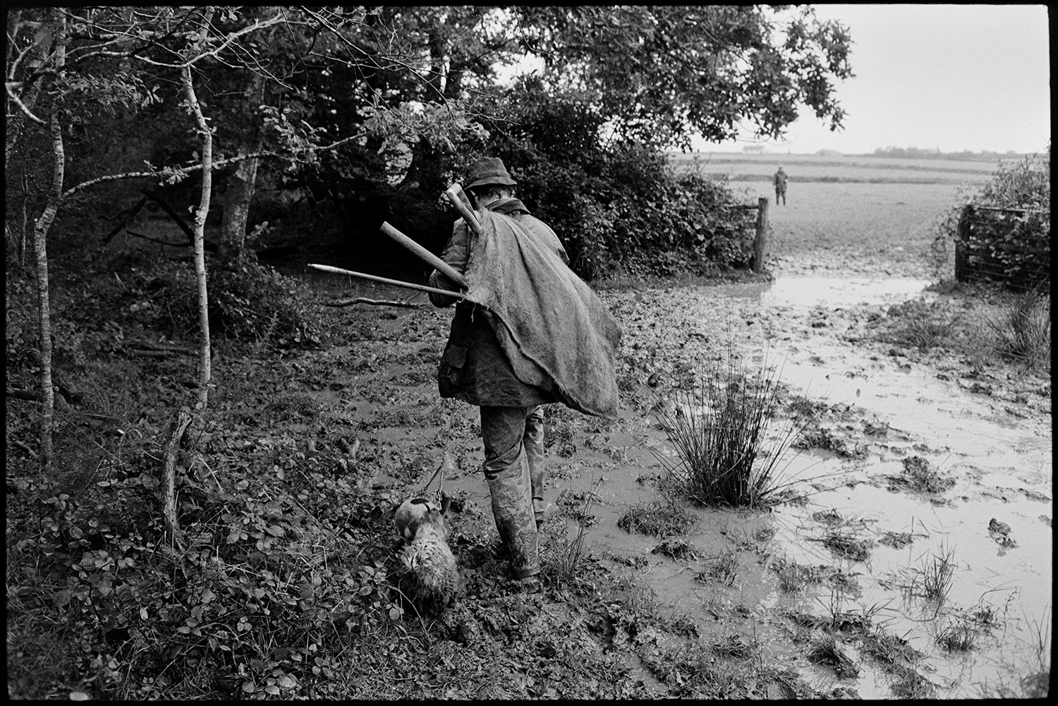 Huntsmen after digging out fox, terriers and diggers walking off in thick mud. 
[A man carrying a sack of tools walking through thick mud with two terriers, after digging out a fox from a hedgebank near Cudworthy, Devon.]