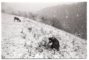 Jo Curzon milking her goat in a blizzard by James Ravilious