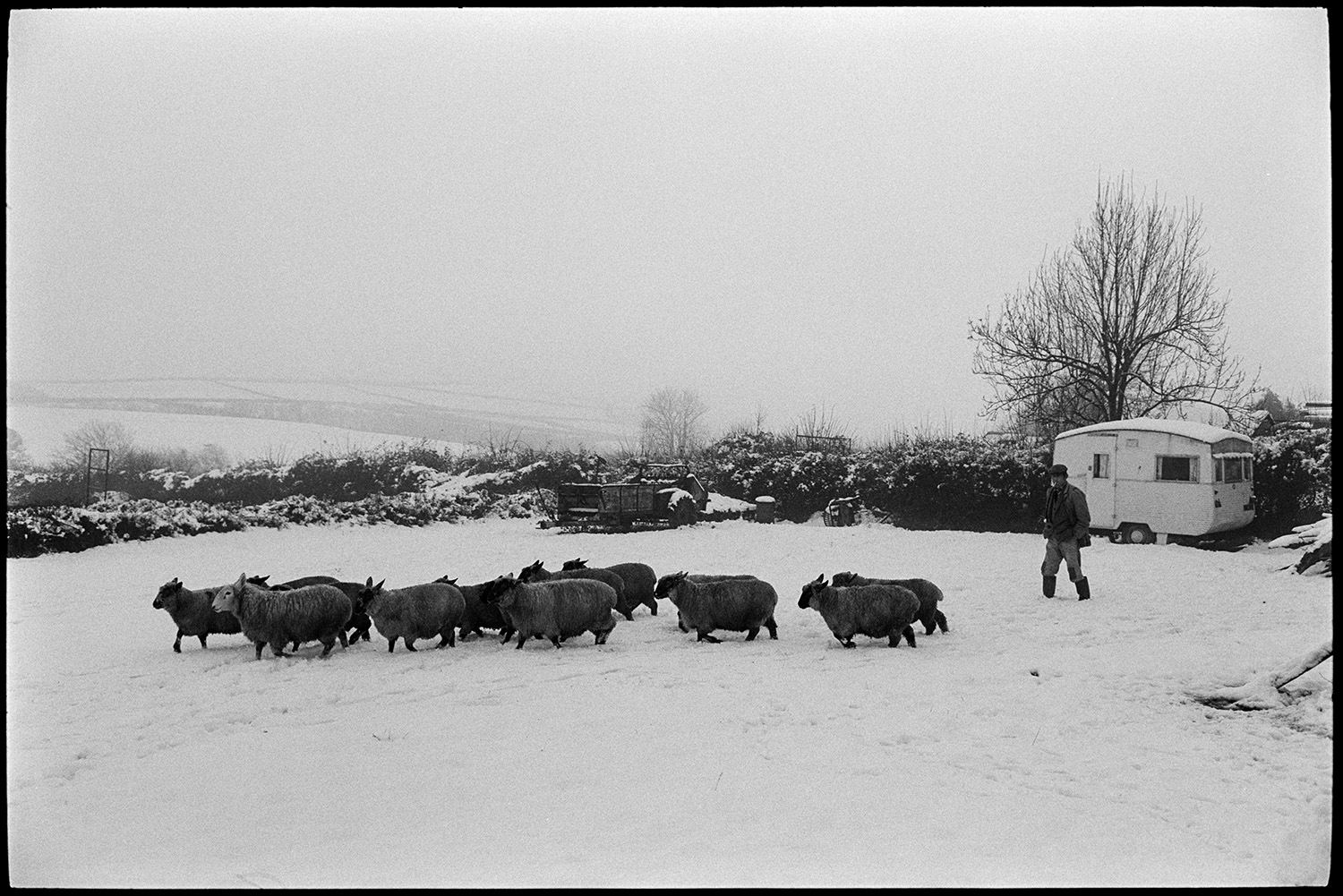 Snow, feeding ducks and checking sheep in snow, poultry house. 
[Irwin Piper checking sheep in a snow covered field at Upcott, Dolton. A caravan is also parked in the field, by a hedge.]