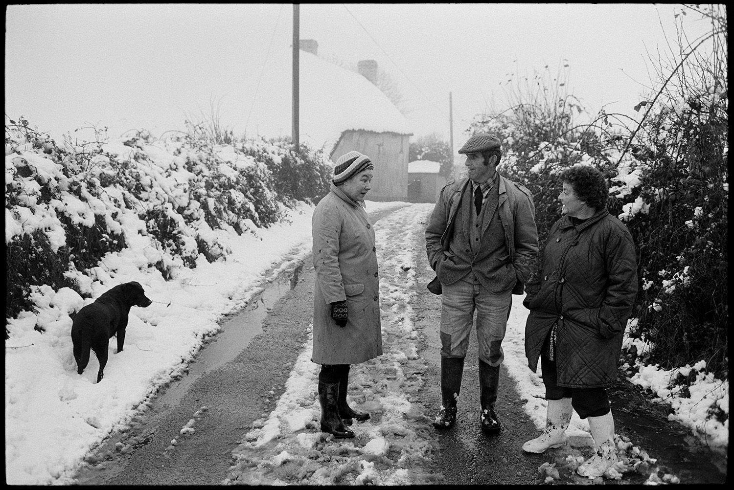 Snow, people chatting in road. 
[Irwin Piper and Mrs Piper talking to a woman wearing a woolly hat with a dog, in a snow covered lane at Upcott, Dolton. A thatched cottage covered in snow is visible in the background.]