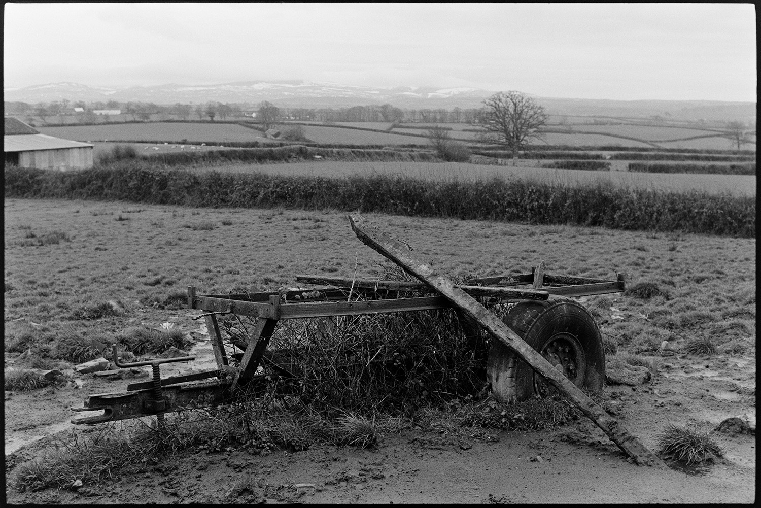Farmer with flock of sheep, snowy moor in distance, muddy ground.
[The metal frame and wheels of an old trailer in the middle of a muddy field at Ingleigh Green.  Fields, trees, farm buildings and snow covered hills are visible in the distance.]