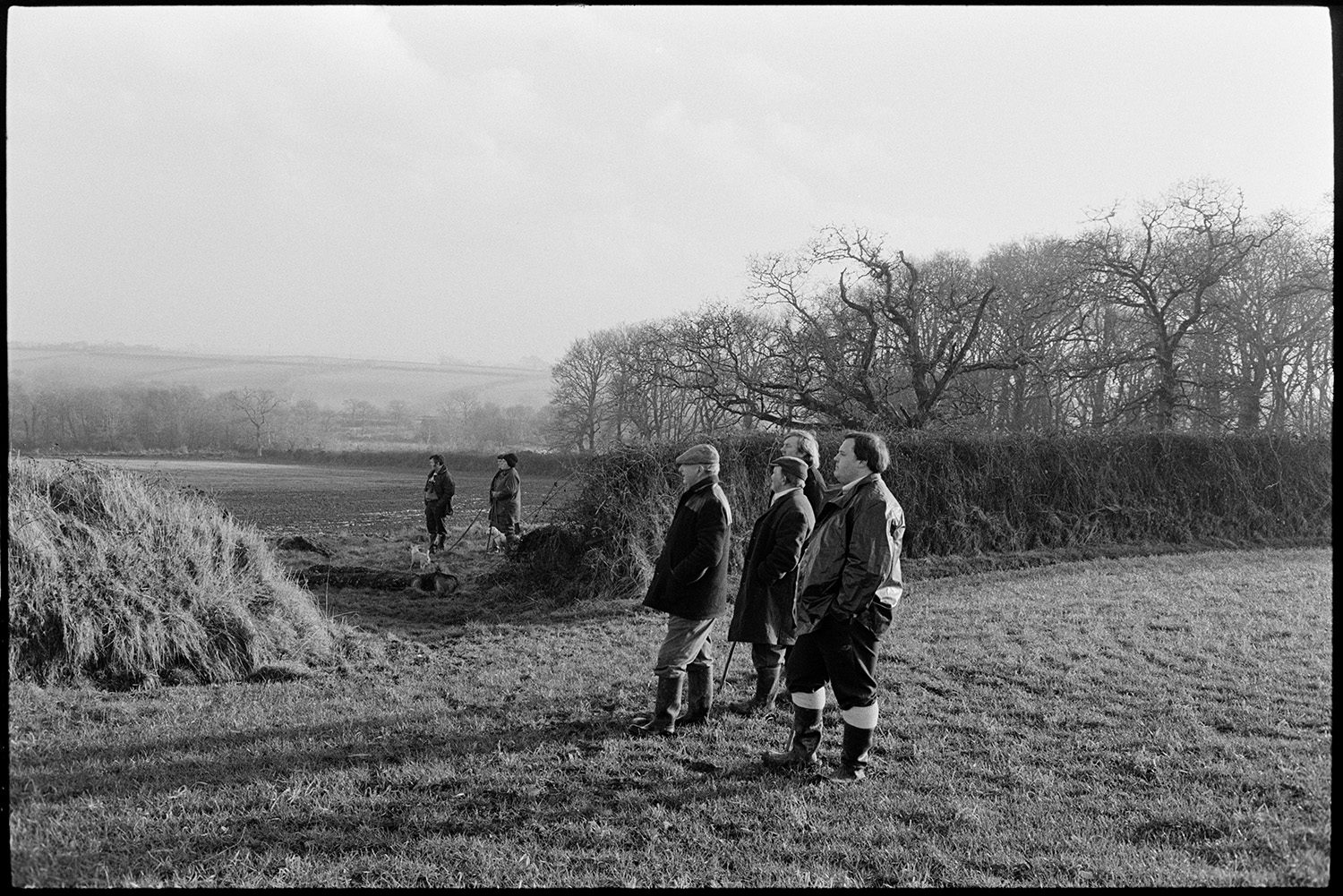Hunt followers watching hounds in wood.
[People with dogs and sticks standing in a field looking over a hedge near Riddlecombe, watching a hunt. Trees can be seen in the background.]