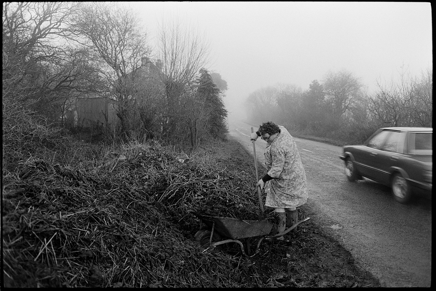 Woman farmer emptying manure from wheelbarrow onto muckheap.
[Olive Bennett unloading manure from a wheelbarrow onto a muck heap on the verge next to a road at Cuppers Piece, Beaford Moor. A car is passing by on the road.]