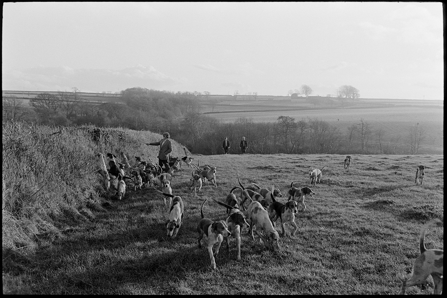 Men following hounds on a hunt across a field near Riddlecombe.