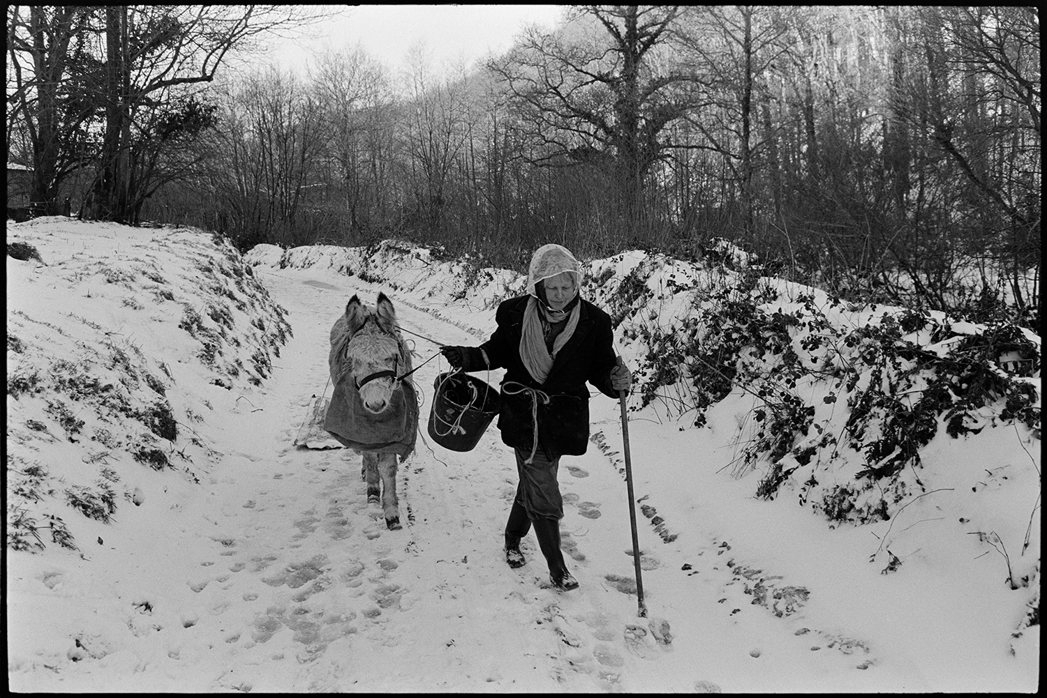 Snow, woman with donkey, drifts. 
[Jo Curzon leading a donkey which is pulling a sledge, along a snow covered lane at Millhams, Dolton.]
