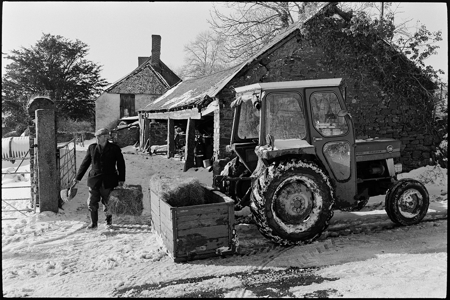 Snow, farmer feeding sheep with tractor and link box, carrying hay in wood, bright sun, snowdrift. 
[Alf Pugsley loading hay bales into a link box attached to a tractor, by a barn at Lower Langham, Dolton. He is taking to hay to feed to sheep and is also carrying a spade. The ground is covered with snow.]
