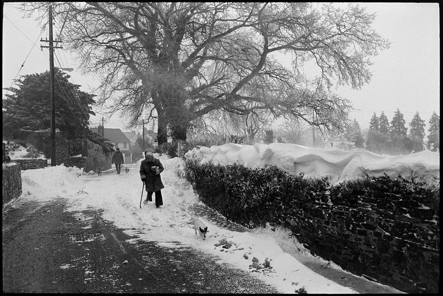 Snow, people struggling through blizzard in village. 
[Eve Lynch-Blosse walking through a snowy street in Dolton, carrying shopping. She is using a walking stick and a dog is with her. Another person walking a dog can be seen in the background. A snow drift against the wall of the street is also visible in the foreground.]
