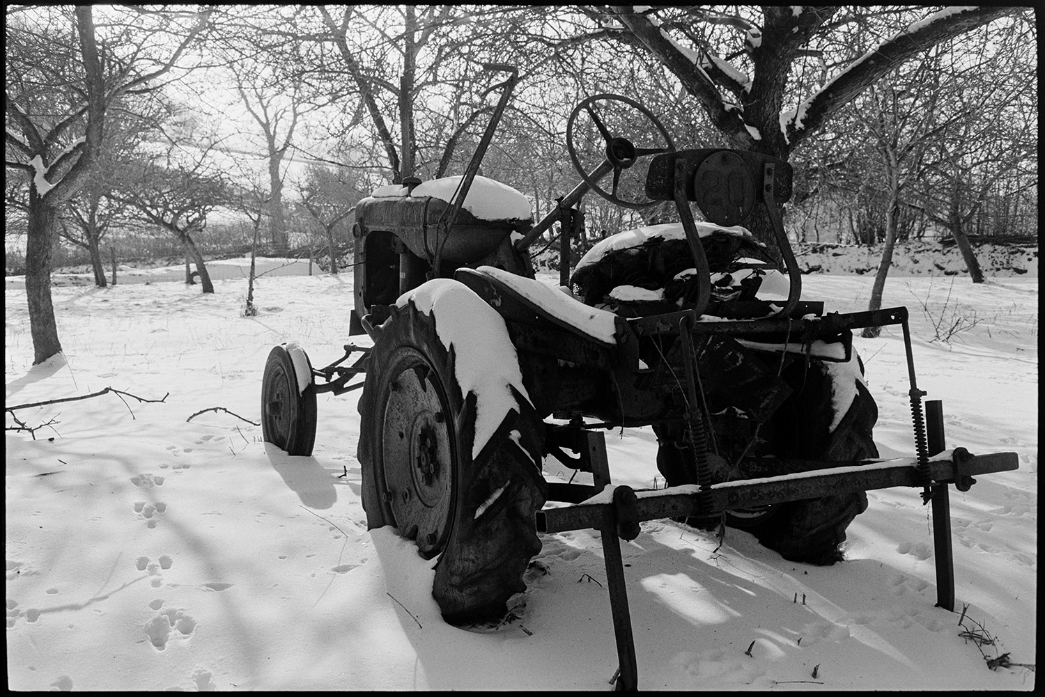 Snow, abandoned tractor in orchard. 
[A tractor abandoned in an orchard and covered in snow at Lower Langham, Dolton.]