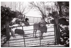 Jo Curzon with donkey sledge