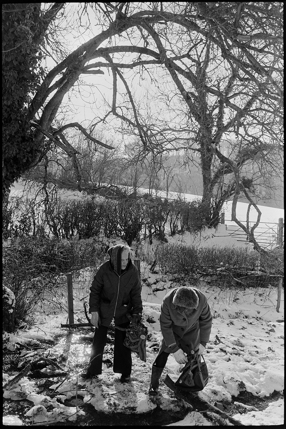 Snow, women gathering wood for fire.
[Two women, dressed in winter clothing, collecting firewood in a snow covered field near West Lane, Dolton.]