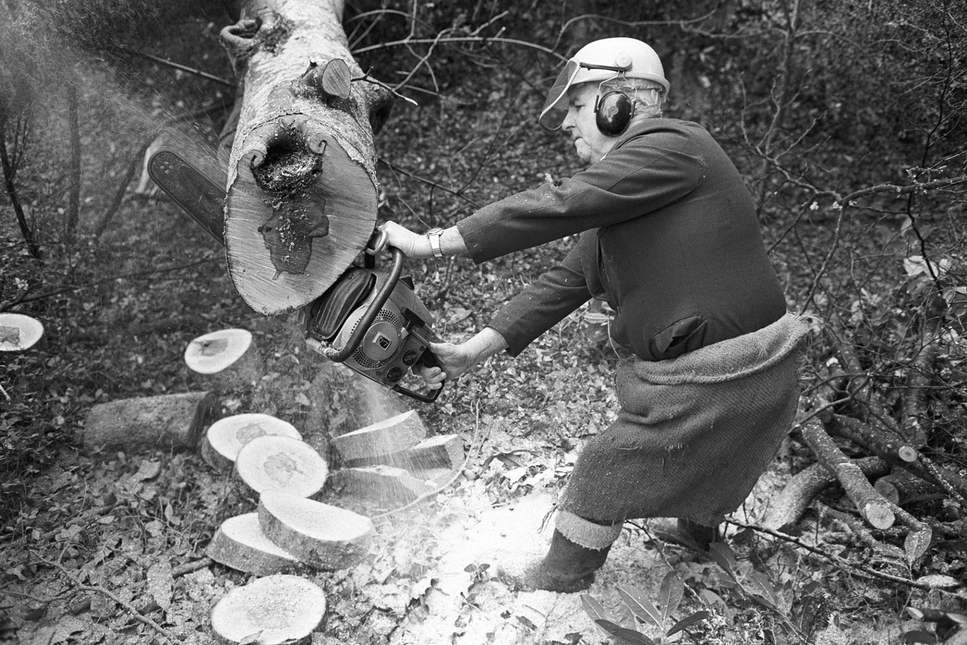 Man sawing up tree with chainsaw. 
[Horace Baker cutting up a tree trunk with a chainsaw at Halsdon, Dolton. He is wearing a sack around his waist and a protective helmet. Sawdust can be seen falling from the chainsaw.]