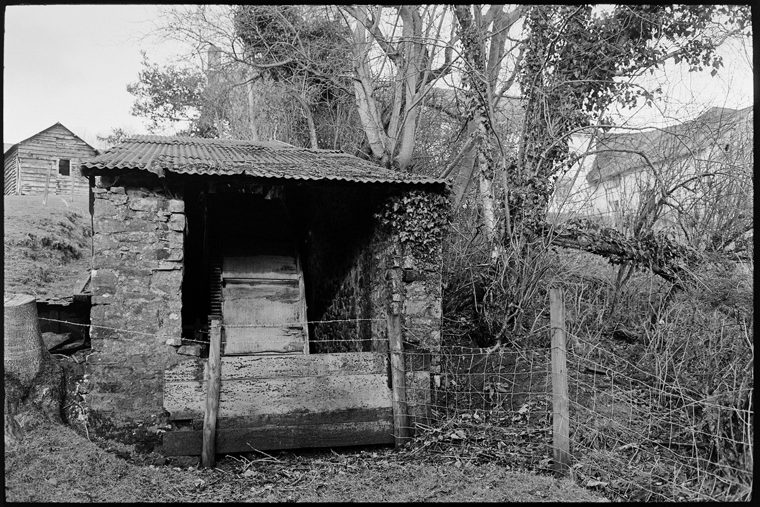 Undershot mill and wheel housing.
[Undershot mill and wheel housing in a small stone shed with a corrugated iron roof at West Chapple Farm, near Winkleigh. It is surrounded by a wire fence and trees, with farm buildings in the background.]