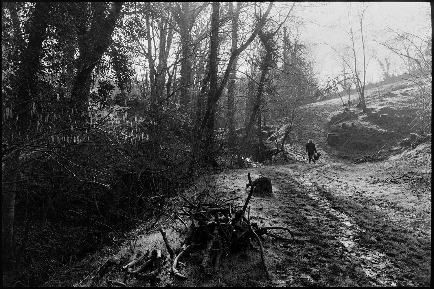 Woman farmer milking goat and fetching water from stream, old car in mud.
[Jo Curzon walking along a muddy path in a wooded valley at Millhams, Dolton to fetch water from a stream. Catkins are visible on a tree in the foreground.]