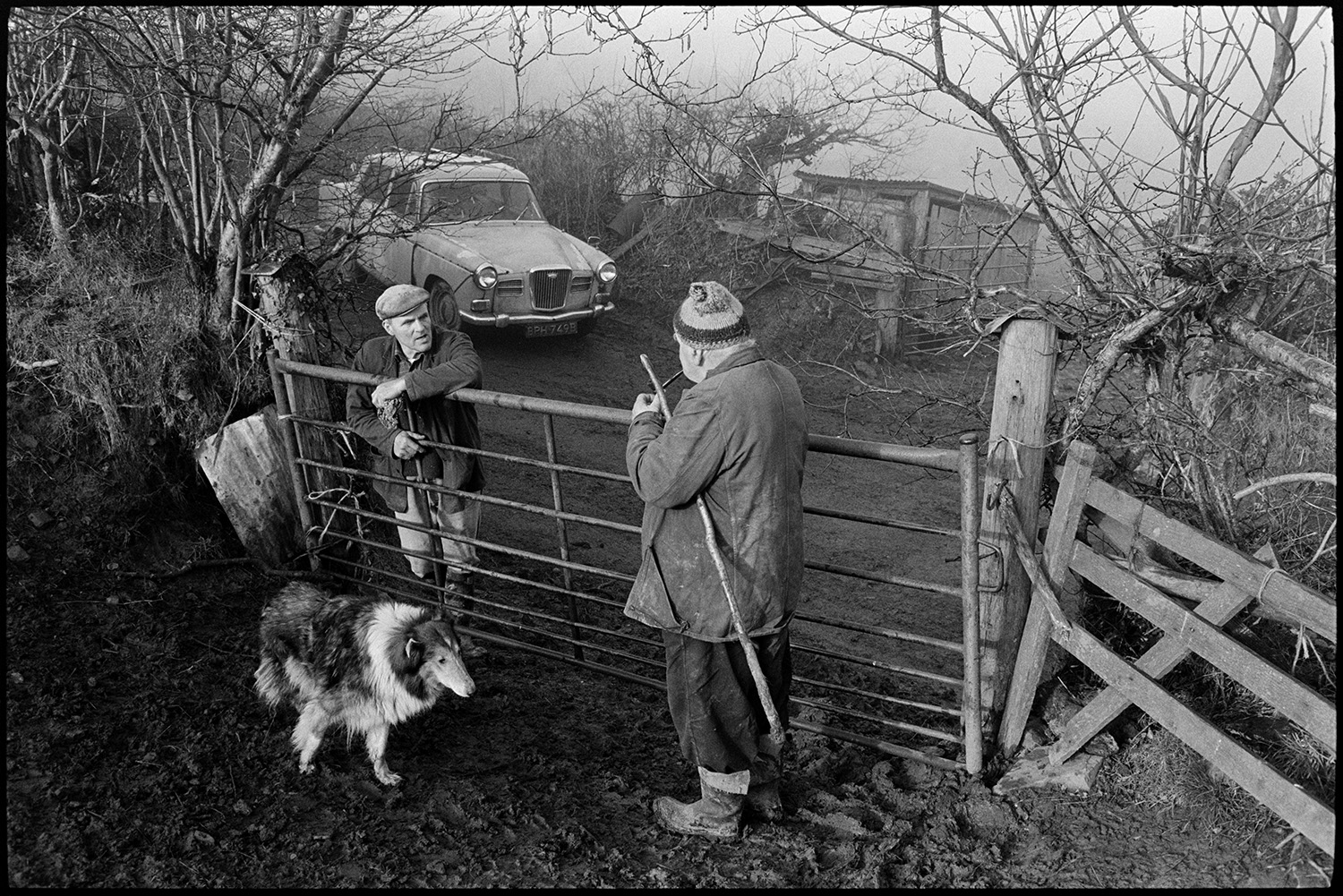 Two farmers chatting over gate, dog and muddy field, car in background.
[Alf Pugsley and Archie Parkhouse chatting over a metal field gate at Millhams, Dolton. Archie Parkhouse is smoking a pipe. A car is parked in the lane behind the muddy gateway and a field with a shed are visible in the background. Sally the dog is stood by Archie Parkhouse.]