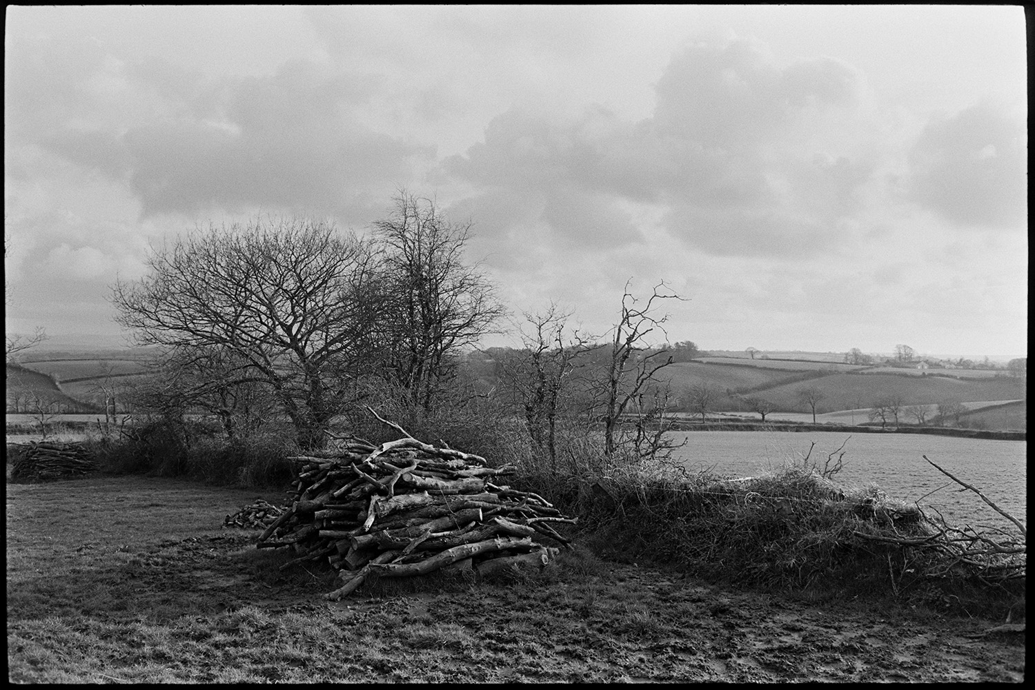 Woodpile in winter landscape. 
[A woodpile by a hedge in a field at Iddesleigh. A landscape of trees and fields can be seen in the background.]