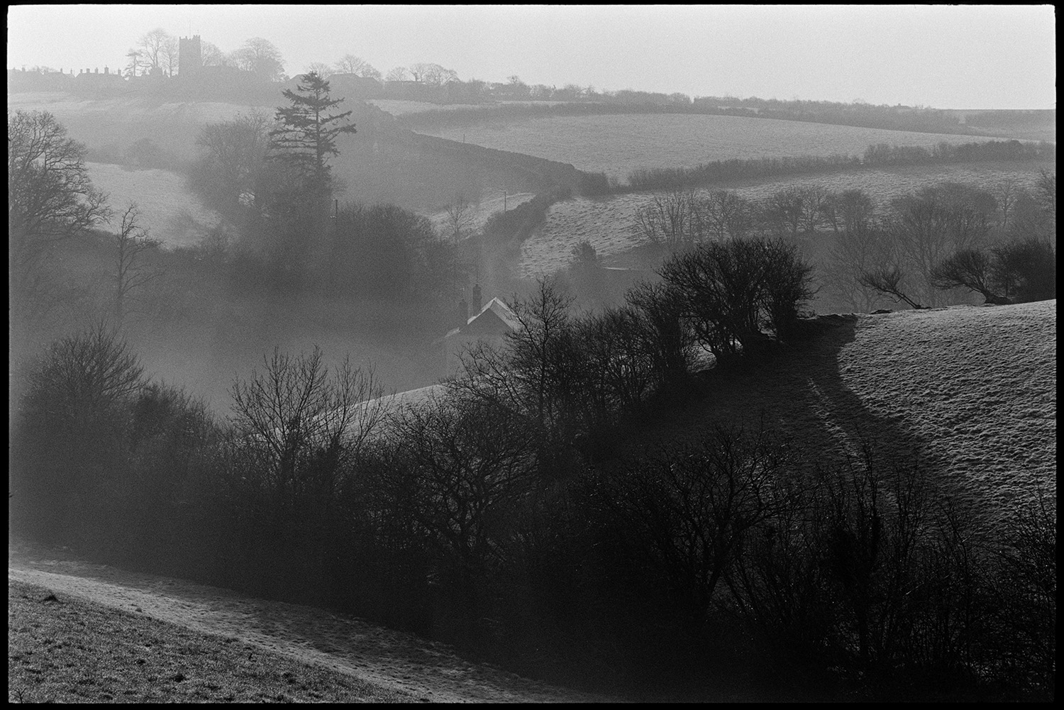 Misty view fields, church tower. 
[A misty landscape of fields, trees and hedgerows at Burrington. Burrington church tower can be seen on the horizon.]