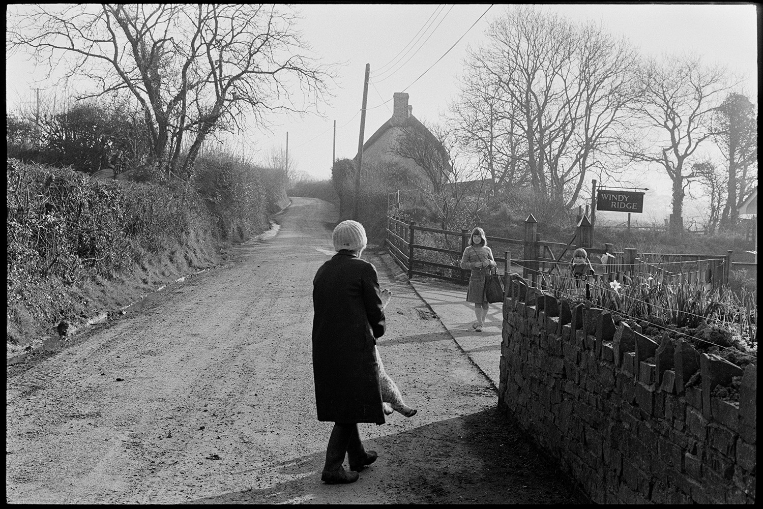 School bus, woman walking dogs. 
[Two girls talking to Evelyn Folland, who is carrying a lamb, while they wait for the school bus outside Windy Ridge at Upcott, Dolton.]