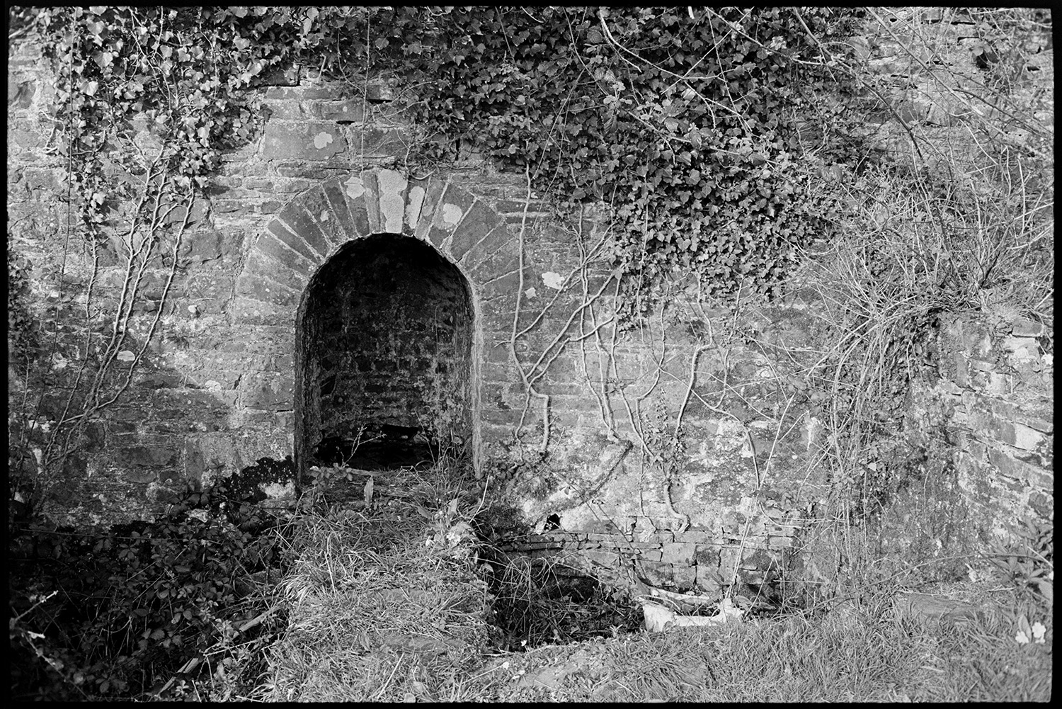 Cistern with niche, ancient washing place? For monks?  Near river. <br />
[A cistern in a stone wall overgrown with ivy near Beaford Mill. See the 'Additional notes by James Ravilious' field for more information'.]