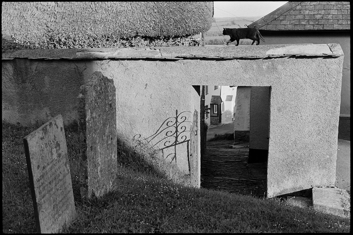 Village graveyard with cob wall and people walking in passageway, shadows. 
[A cat walking across the top of a cob archway to Winkleigh churchyard. Gravestones and the shadow of the gate to the churchyard are visible, as well as the cobbled steps leading up to the churchyard.]