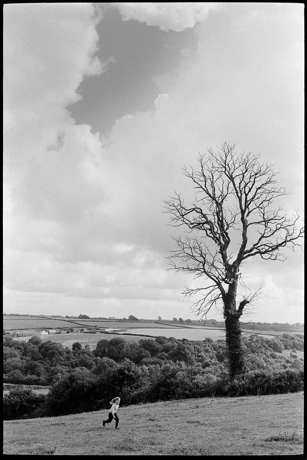 Children in field, dead elm against cloudy sky. 
[A girl running across a field at Bonleigh. A dead elm tree can be seen in a hedgerow behind her. Fields, woodland and a cloudy sky can be seen in the background.]
