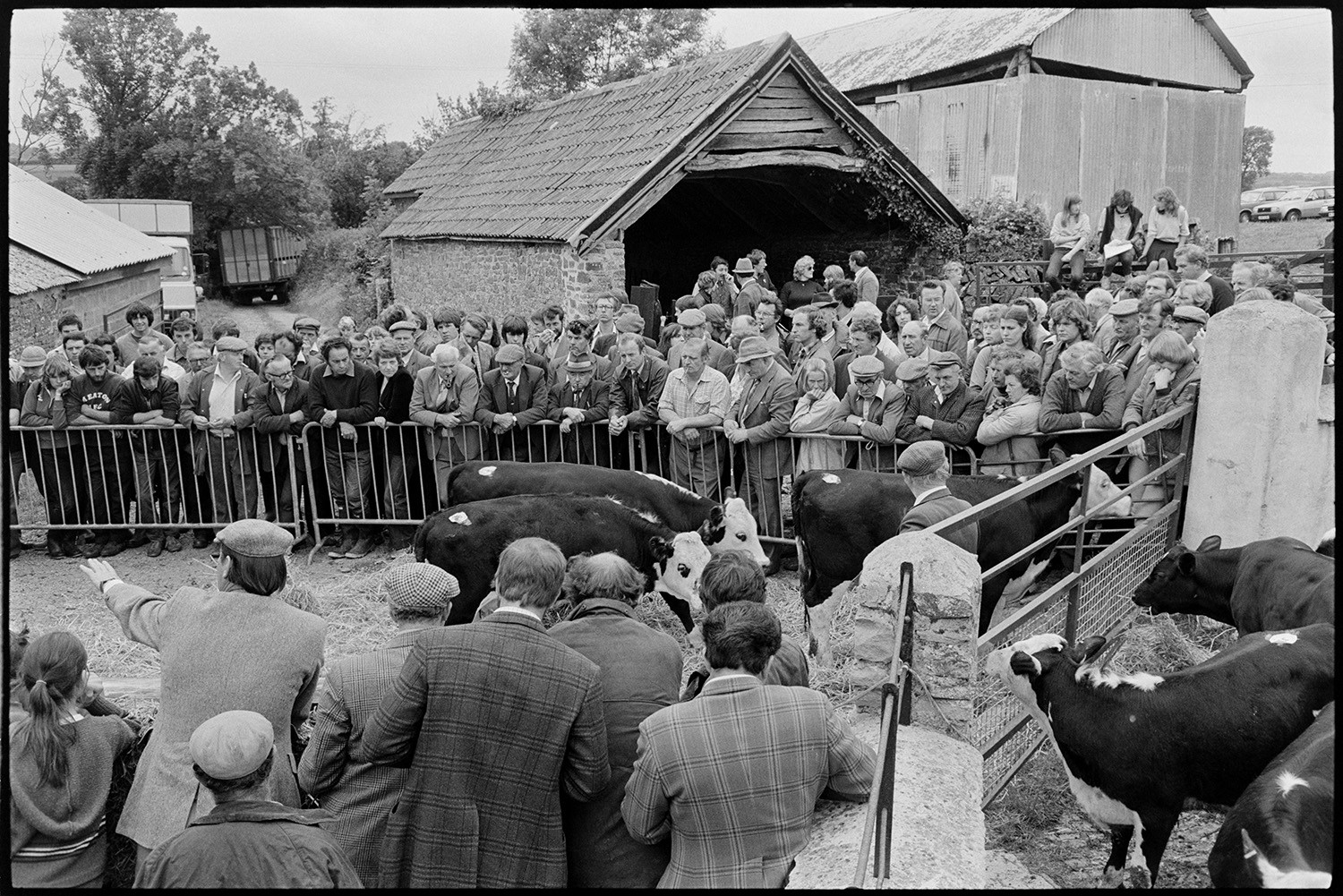 Cattle being auctioned at farm sale, crowd in farmyard. 
[Cattle in a makeshift pen being auctioned at a farm sale at Chapple, Dolton. A crowd is gathered around the pen and people are bidding. The auctioneer can be seen in the foreground pointing at bidders. Barns and three people sat on a gate can be seen in the background.]