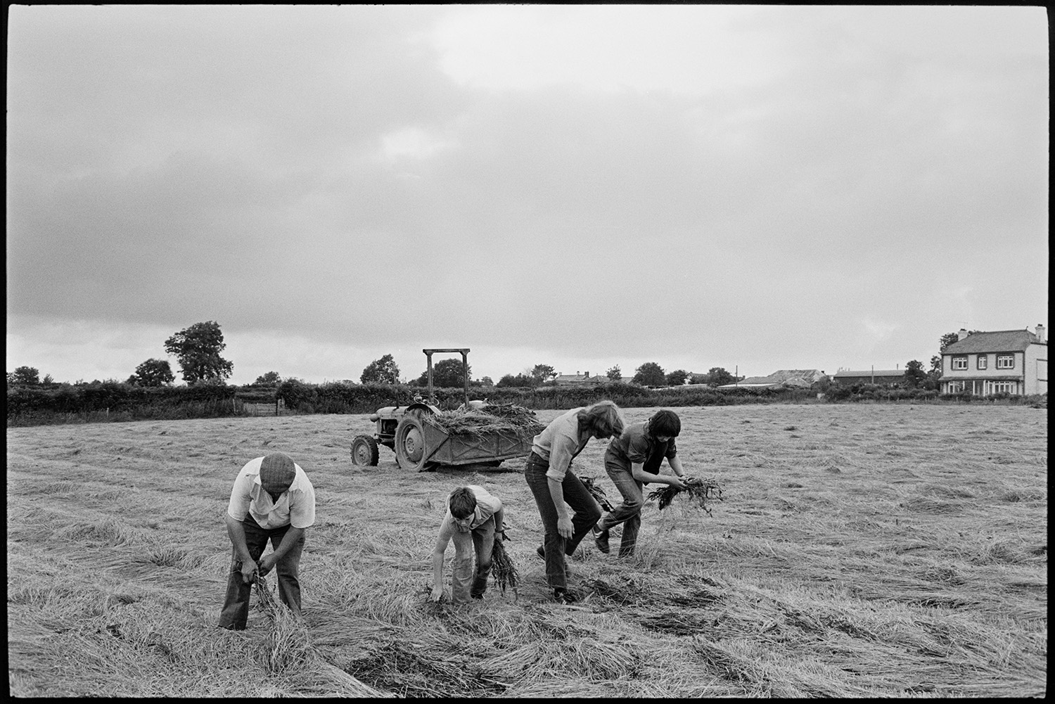 Men removing thistles from cut hay.
[Four people picking thistles out of cut hay lying on the ground in a field at Ashreigney. They are putting the thistles in a tractor and link box parked in the field. In the background a farmhouse and barns can be seen.]