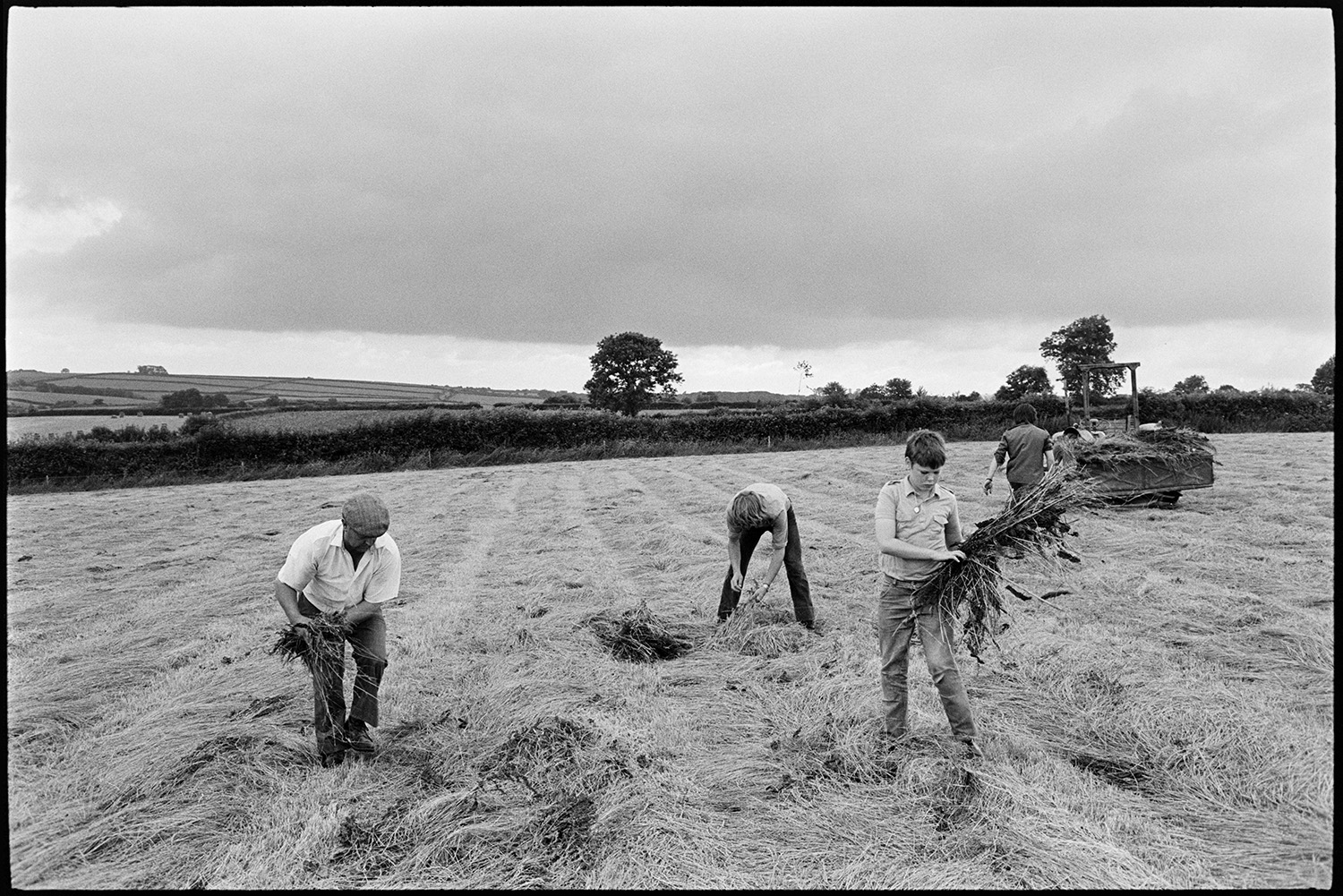 Men removing thistles from cut hay.
[Four people picking thistles out of cut hay lying on the ground in a field at Ashreigney. They are putting the thistles in a tractor and link box parked in the field. In the background surrounding fields can be seen.]