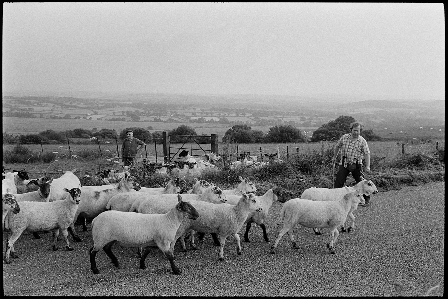 Farmers checking sheep on moor. 
[Two men checking and herding sheep along a road on Hatherleigh Moor. A landscape of fields and trees can be seen in the background.]