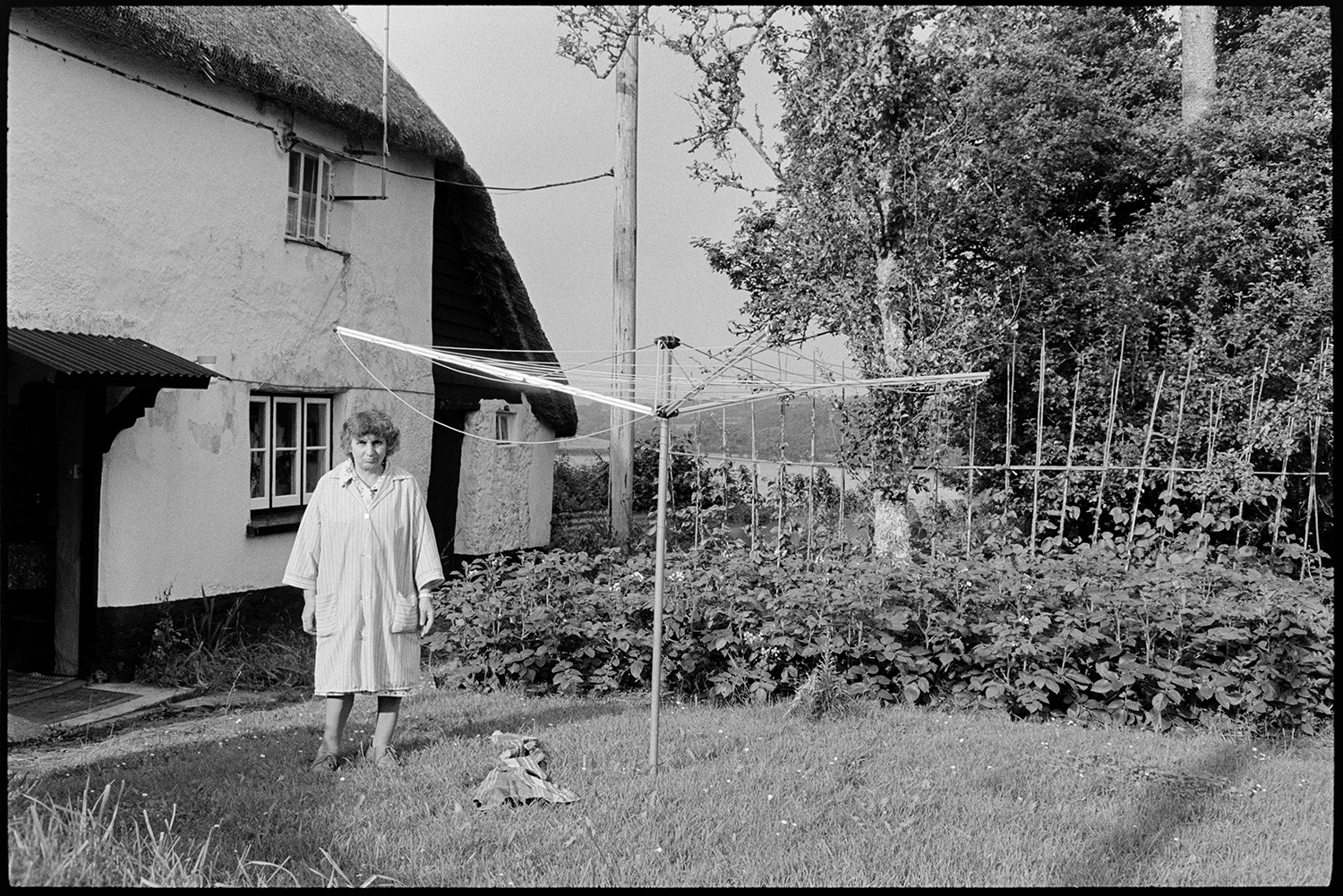 Woman in cottage garden with dog, stand for washing.
[Mrs Piper is standing on the lawn of her garden at Nethercott Cross, beside a rotary washing line. Her cob and thatch cottage, with a corrugated iron porch roof can be seen in the background. There are potatoes and runner beans growing in the garden behind her.]