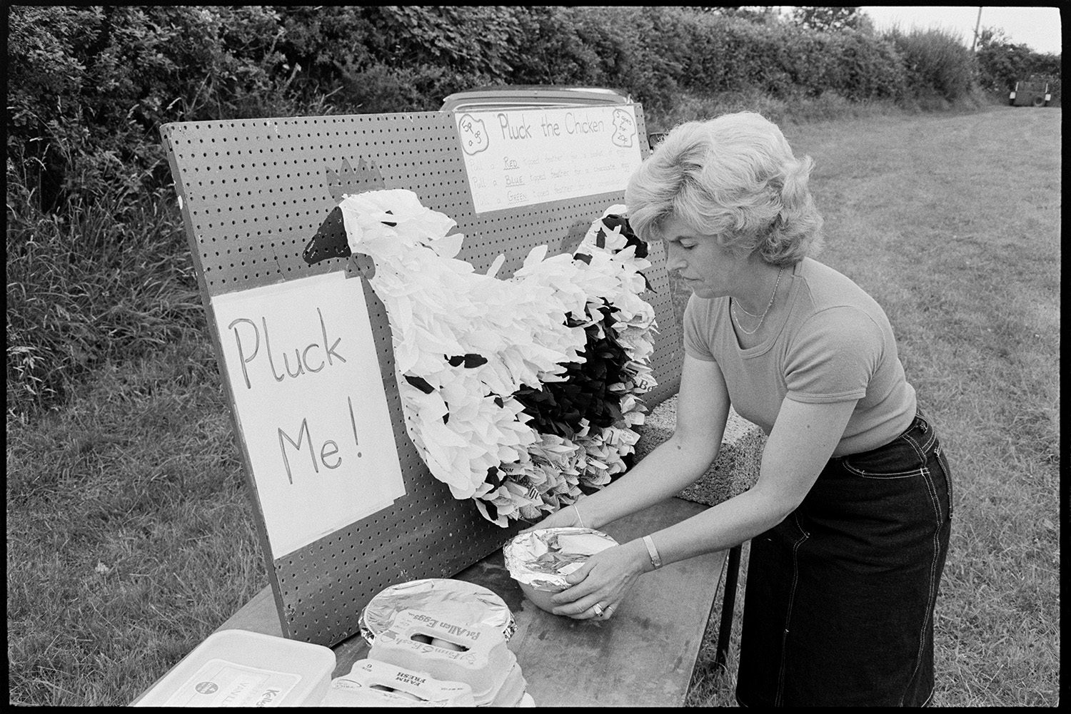 Sports, start of race, people arriving for fancy dress competition.
[A woman arranging a table in a field at Roborough Sports Day with a 'Pluck the Chicken' game. A model chicken and egg boxes are on the table.]
