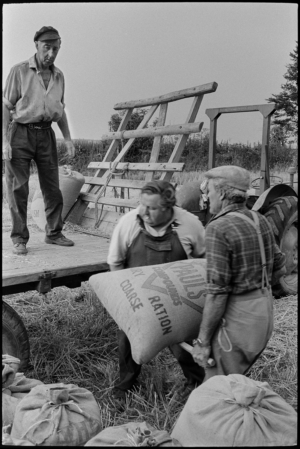 Farmers filling sacks with grain and loading onto trailer. 
[Alf Pugsley, Dennis Harris and another man lifting sacks of grain onto a trailer in a field at Langham, Dolton.]