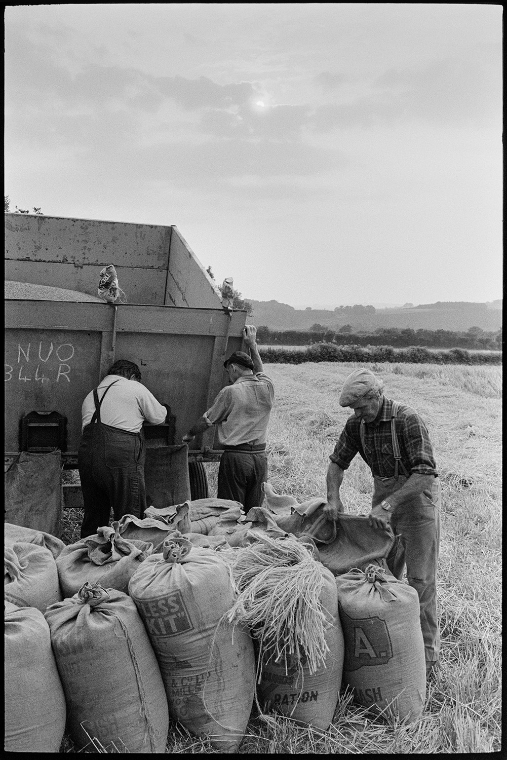 Farmers filling sacks with grain and loading onto trailer. 
[Alf Pugsley, Dennis Harris and another man filling sacks with grain from a high sided trailer in a field at Langham, Dolton.]