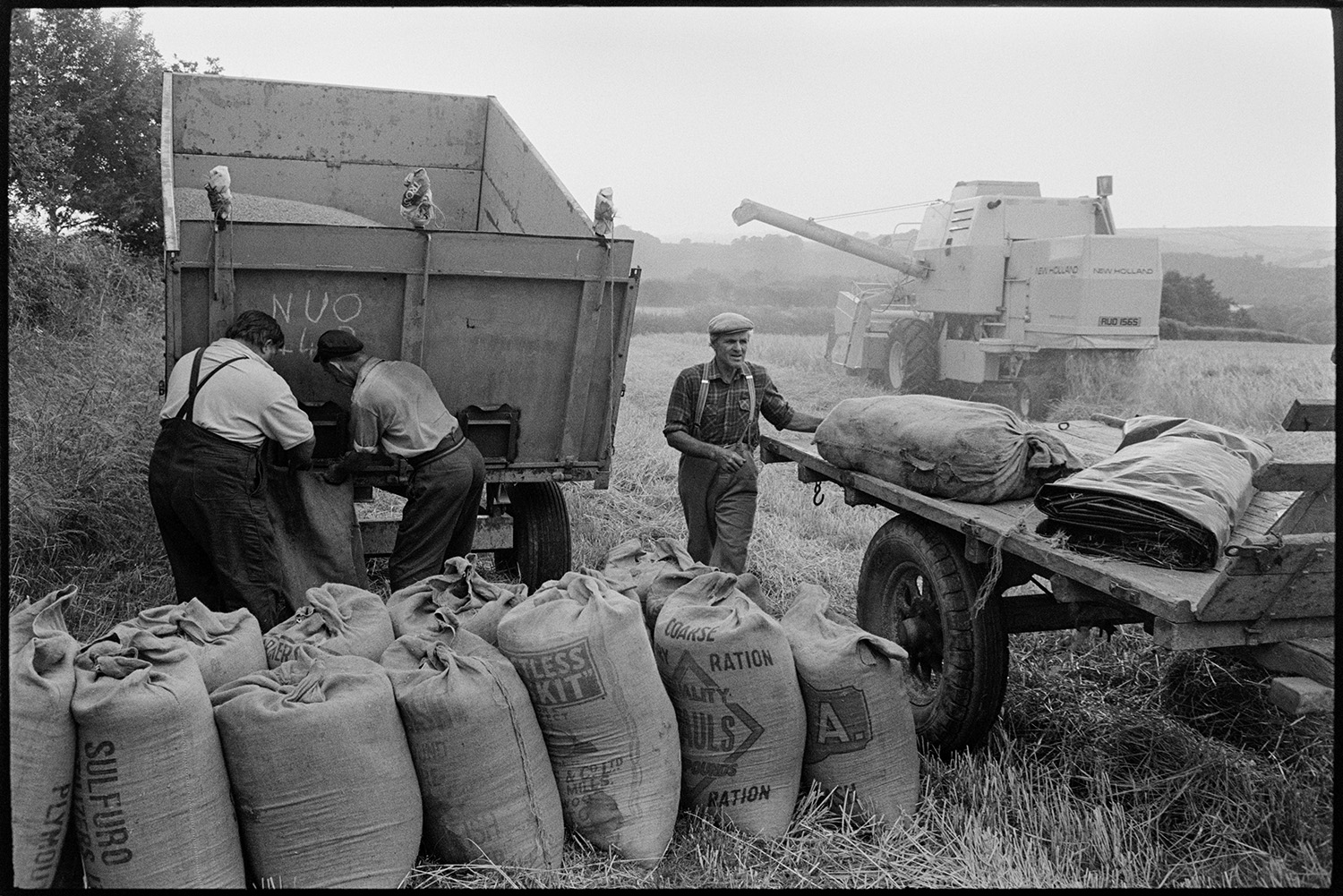 Farmers filling sacks with grain and loading onto trailer. 
[Alf Pugsley, Dennis Harris and another man filling sacks with grain from a high sided trailer in a field at Langham, Dolton. They are then loading the full sacks onto another trailer. A combine harvester can be seen in the field in the background.]