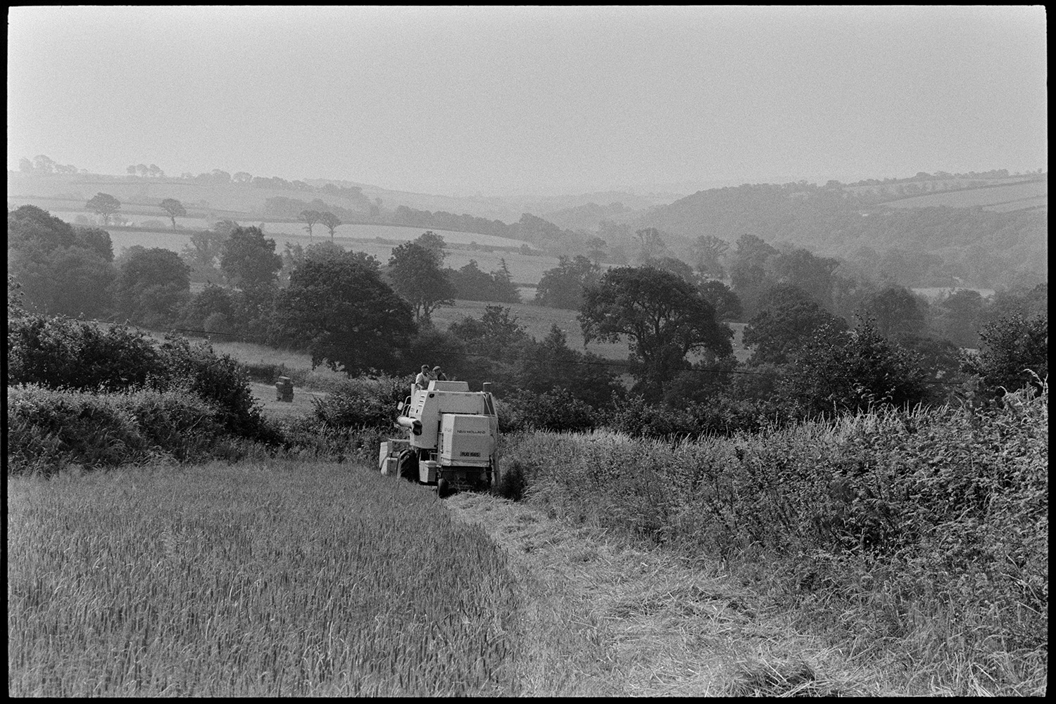 Combine harvester working in landscape. 
[Two men driving a combine harvester alongside a hedge in a field at Brightley, Dolton, to harvest a crop. A landscape of trees and fields can be seen in the background. A stack of hay bales can be seen in one of the fields.]