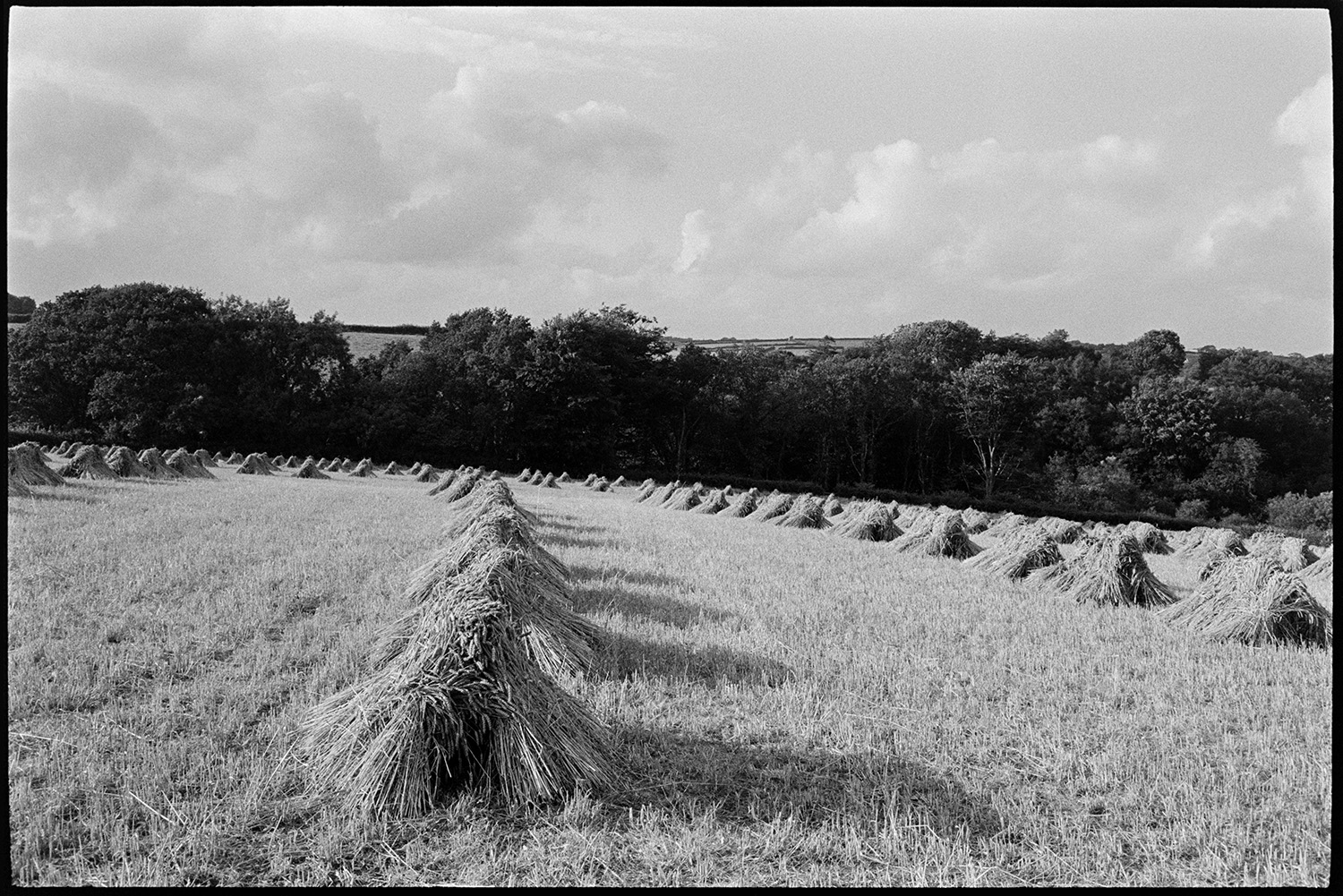 Cloudy landscape, corn stooks with shadows, rainbow. 
[Stooks of corn in a field at East Westacott, Riddlecombe. Trees can be seen in the background.]