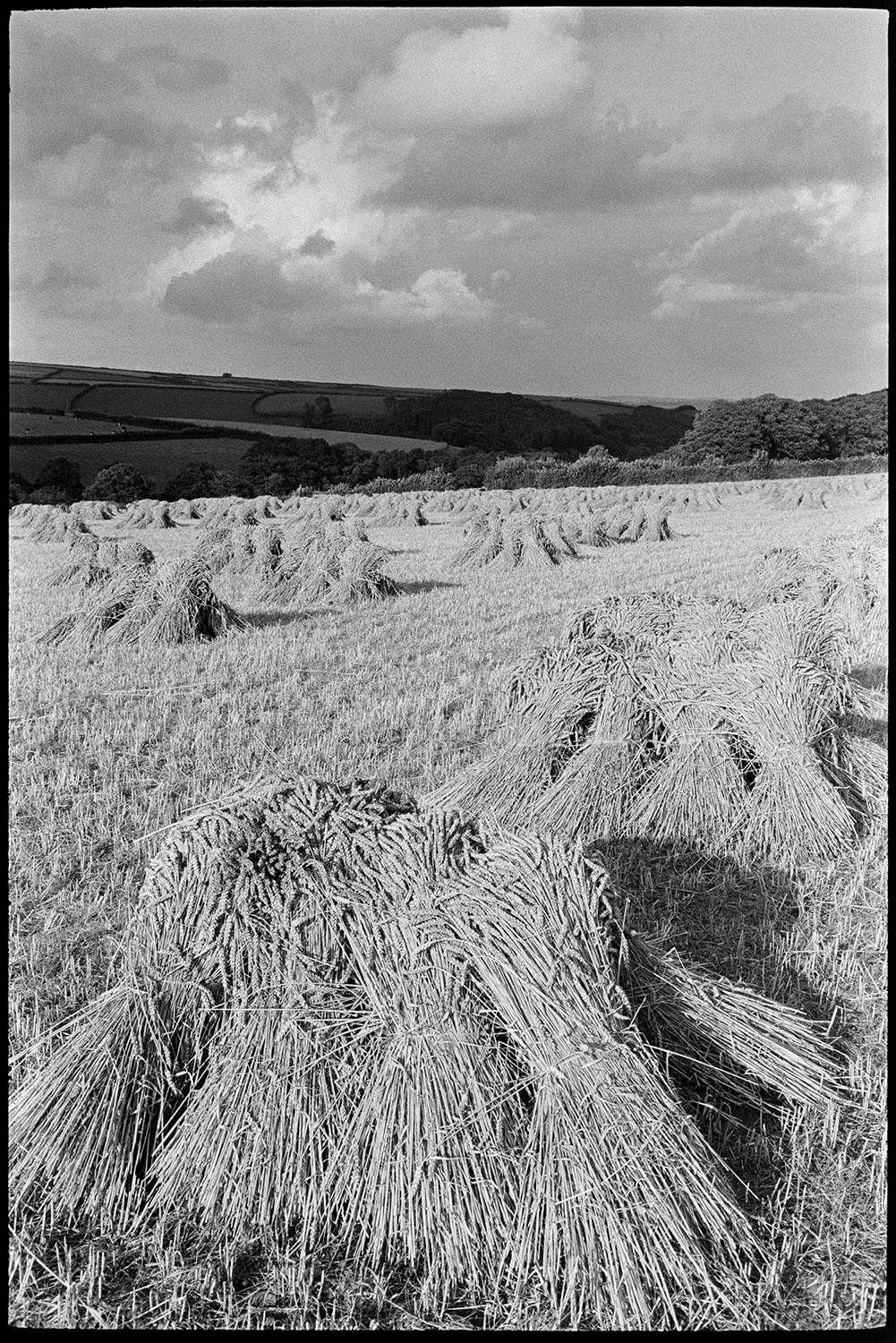 Cloudy landscape, corn stooks with shadows, rainbow. 
[Stooks of corn in a field at East Westacott, Riddlecombe. Trees, field and hedges can be seen in the background.]
