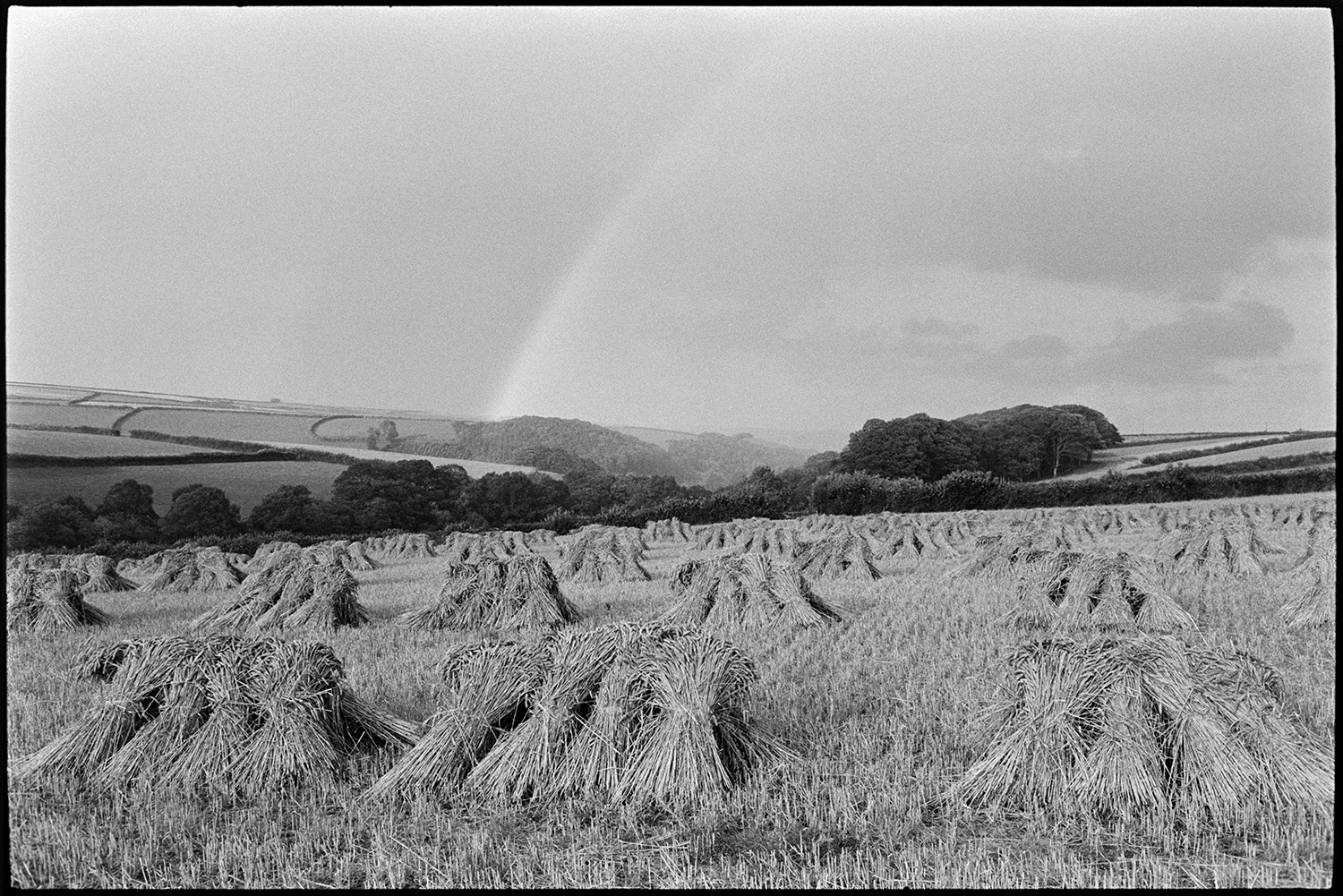 Cloudy landscape, corn stooks with shadows, rainbow. 
[A field with stooks of corn at East Westacott, Riddlecombe. A rainbow can be seen across the landscape of trees and fields in the background.]