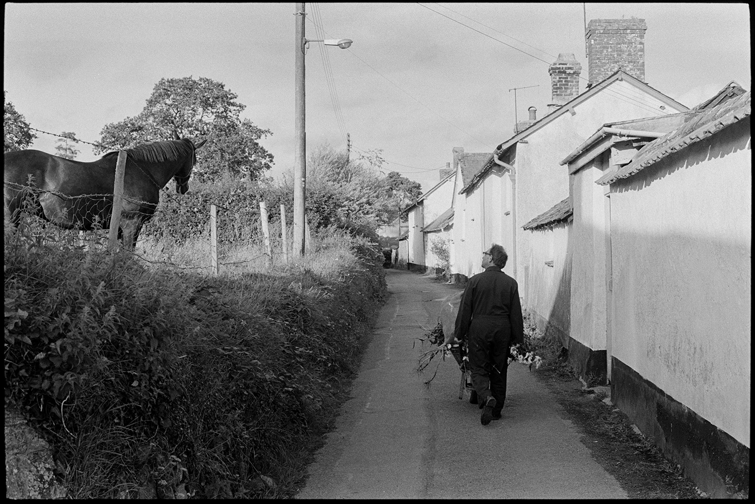 Father and son with vegetables for flower show, digging up parsnips, leeks, onions in shed. 
[A man walking along Aller Road in Dolton, pushing a wheelbarrow full of weeds a dead flowers. He is looking up at a horse in a field adjacent to the road.]