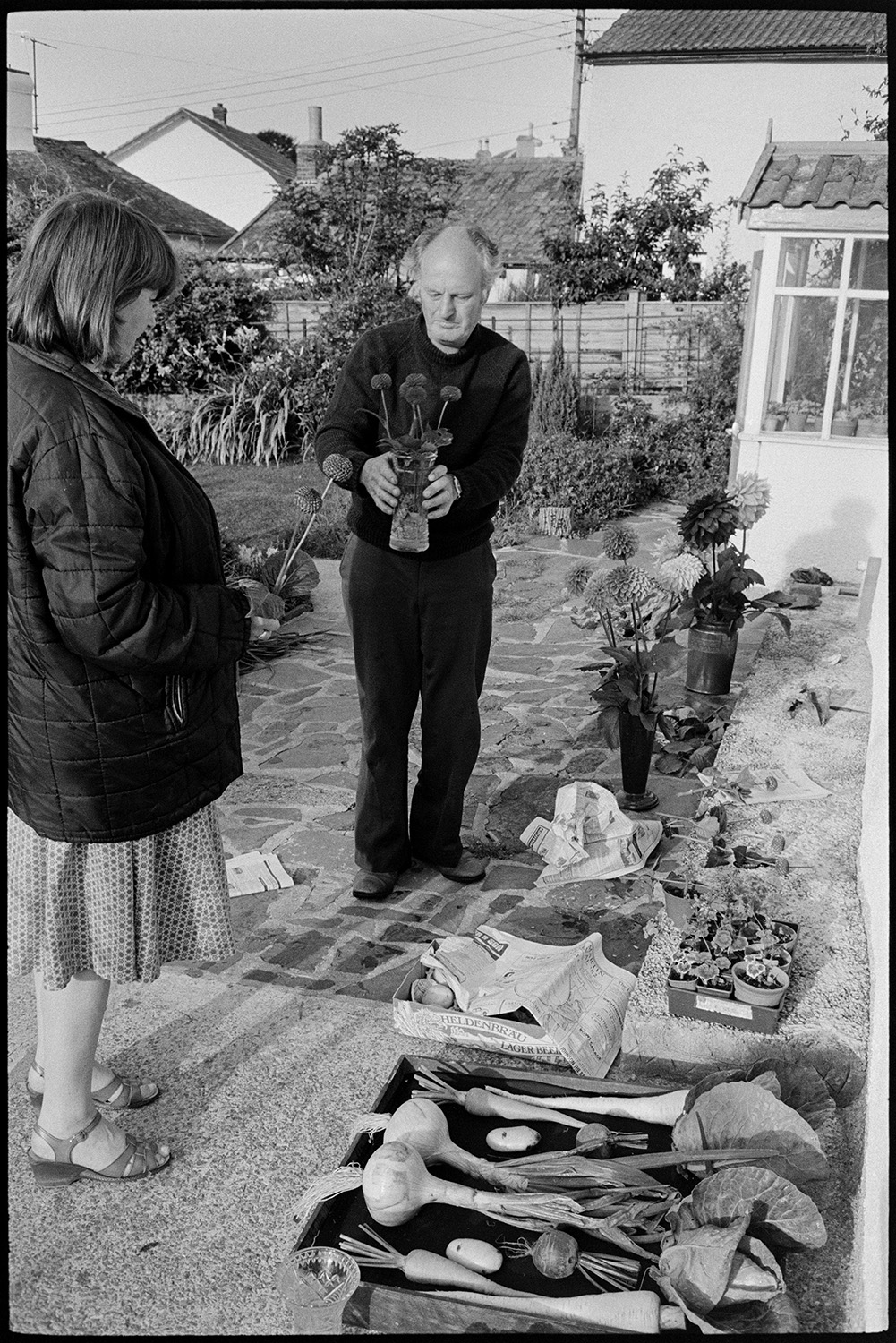 Preparing vegetables and flowers, flower show in garden with greenhouse. 
[Michael Mitchell and Rose Mitchell preparing entries for Dolton Flower Show in the garden at Pear Tree Cottage, Aller Road, Dolton. Vases of dahlias and a box of vegetables, including onions, parsnips and potatoes, can be seen.]