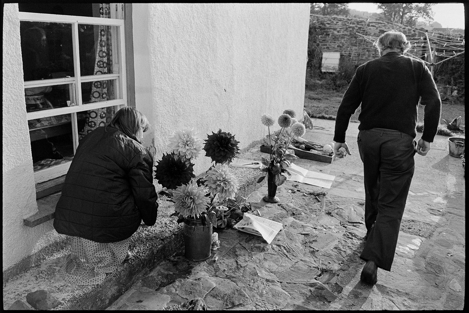 Preparing vegetables and flowers, flower show in garden with greenhouse. 
[Michael Mitchell and Rose Mitchell arranging dahlia flowers in vases on the patio in the garden at Pear Tree Cottage, Aller Road, Dolton, to enter into Dolton Flower Show.]