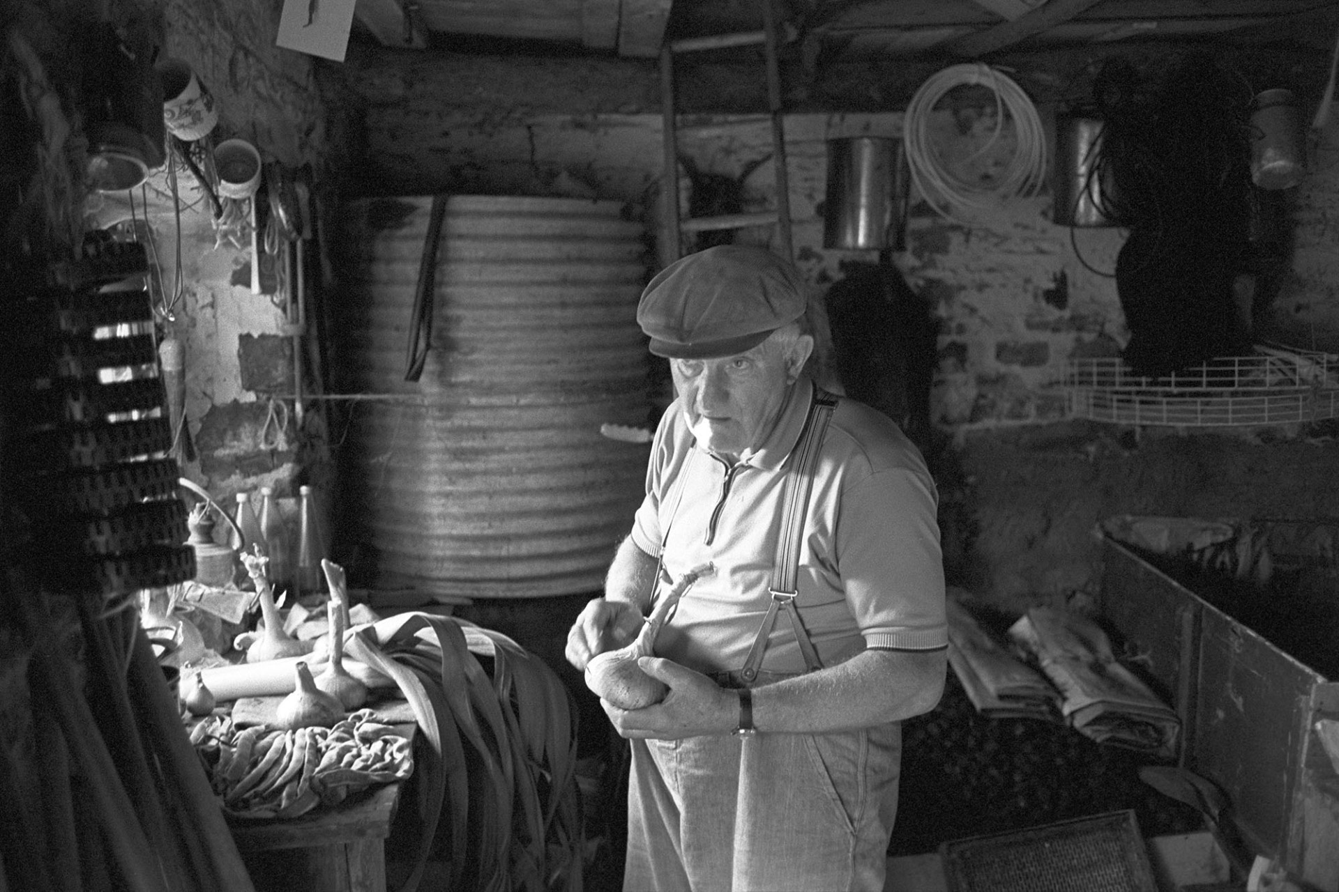 Man preparing vegetables for flower show in garden shed, onions. 
[Lloyd Mitchell sorting vegetables for the Dolton Flower Show in his shed at Pear Tree Cottage, Aller Road, Dolton. He is holding an onion. Leeks and runner beans can be seen on a table in the shed.]