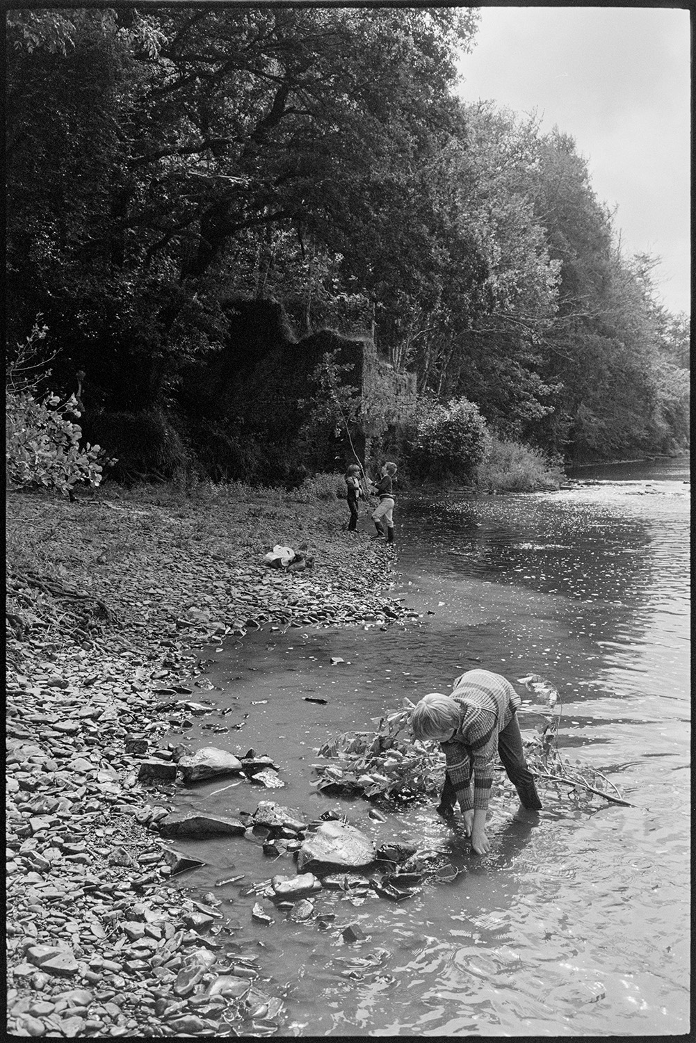 Children playing beside river with ruined mill.
[Children playing in the River Torridge beside the ruins of Dolton Mill at Halsdon, Dolton.]